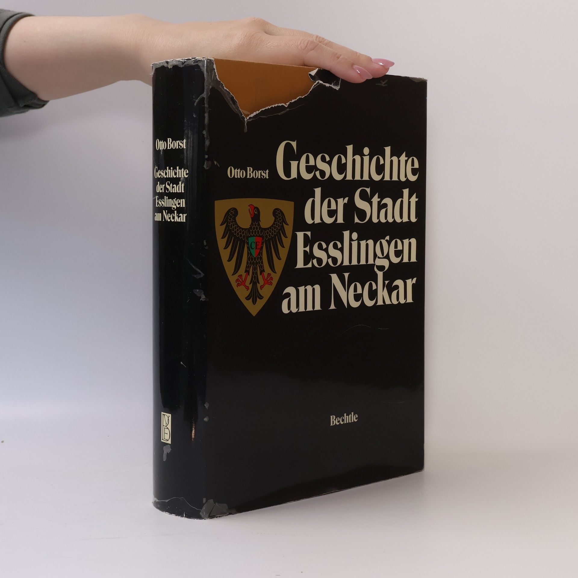 Geschichte der Stadt Esslingen am Neckar