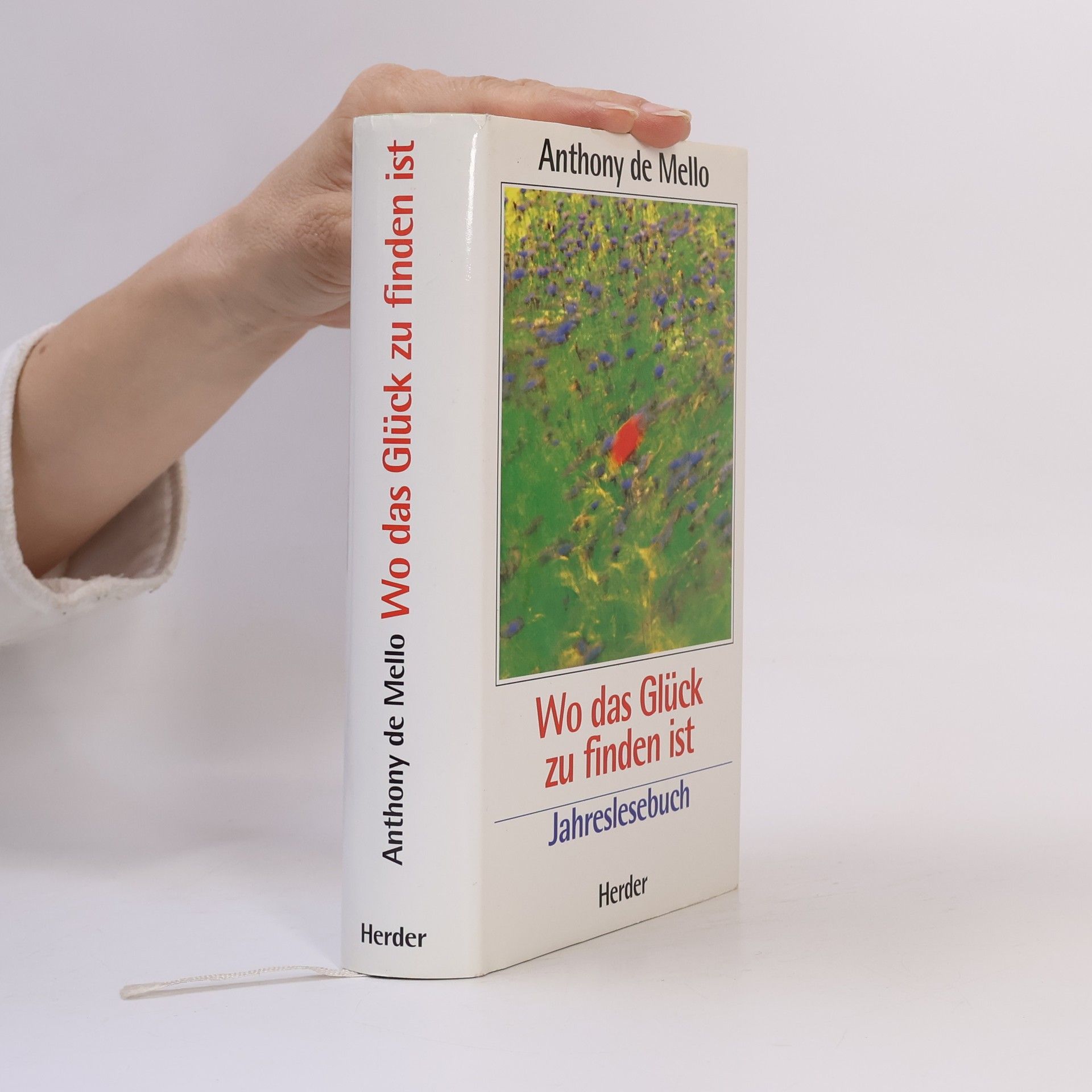 Anthony de Mello Wo das Glück zu finden ist