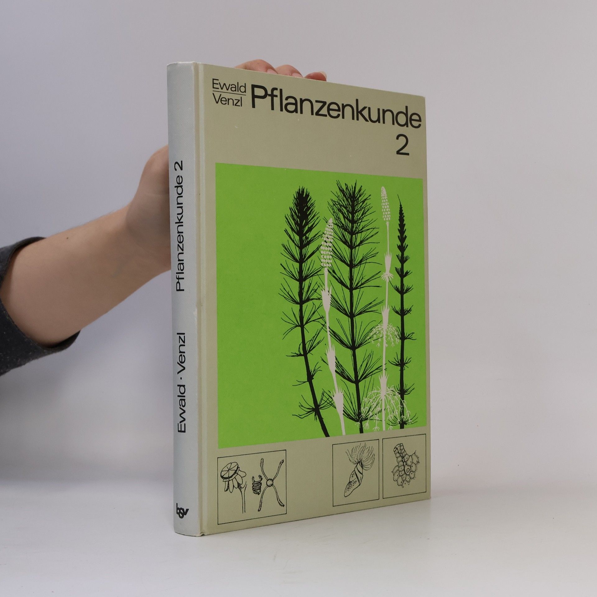 Pflanzenkunde, Band 2