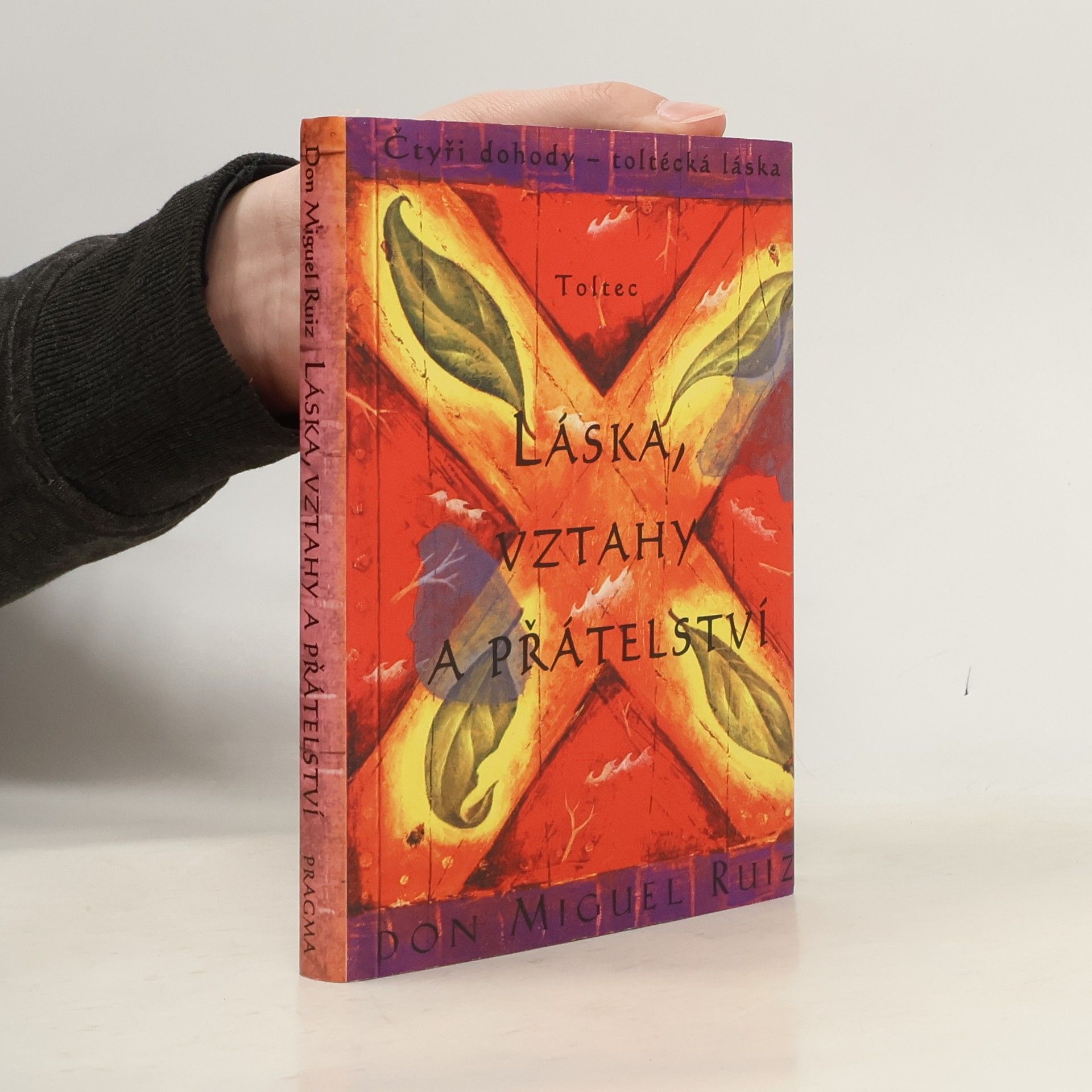 Don Miguel Ruiz Láska, vztahy a přátelství