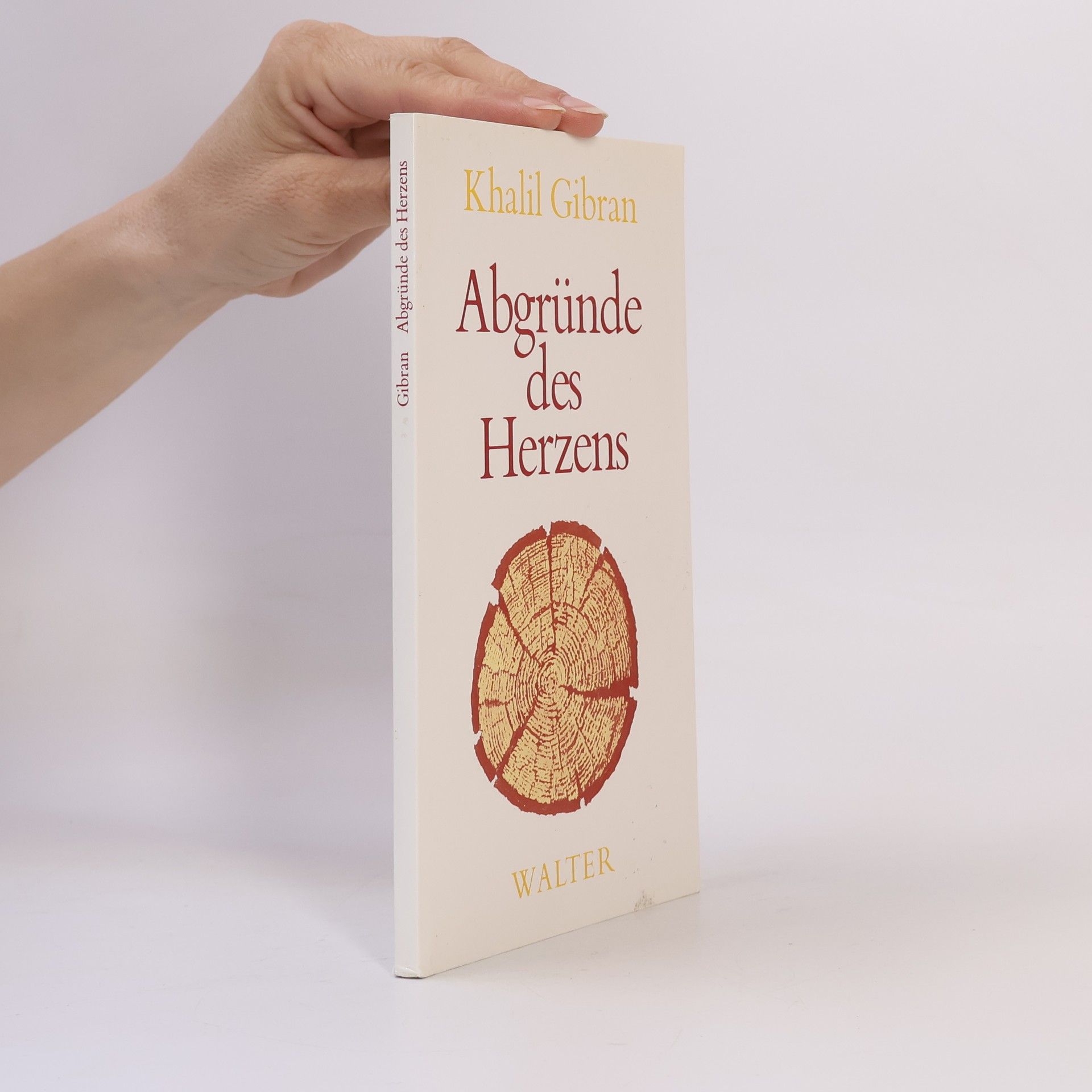 Chalíl Džibrán Abgründe des Herzens