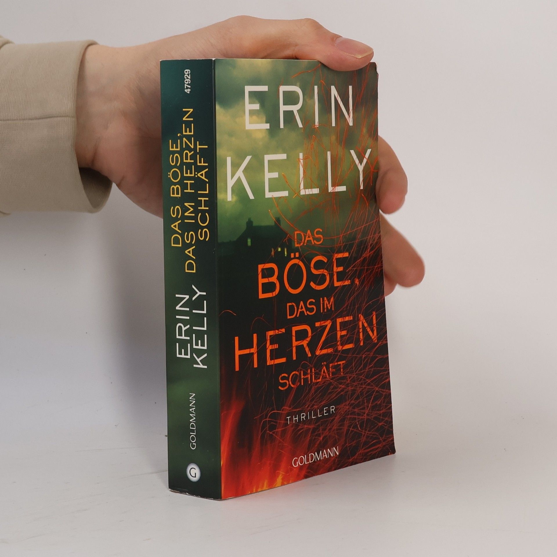 Erin Kelly Das Böse, das im Herzen schläft