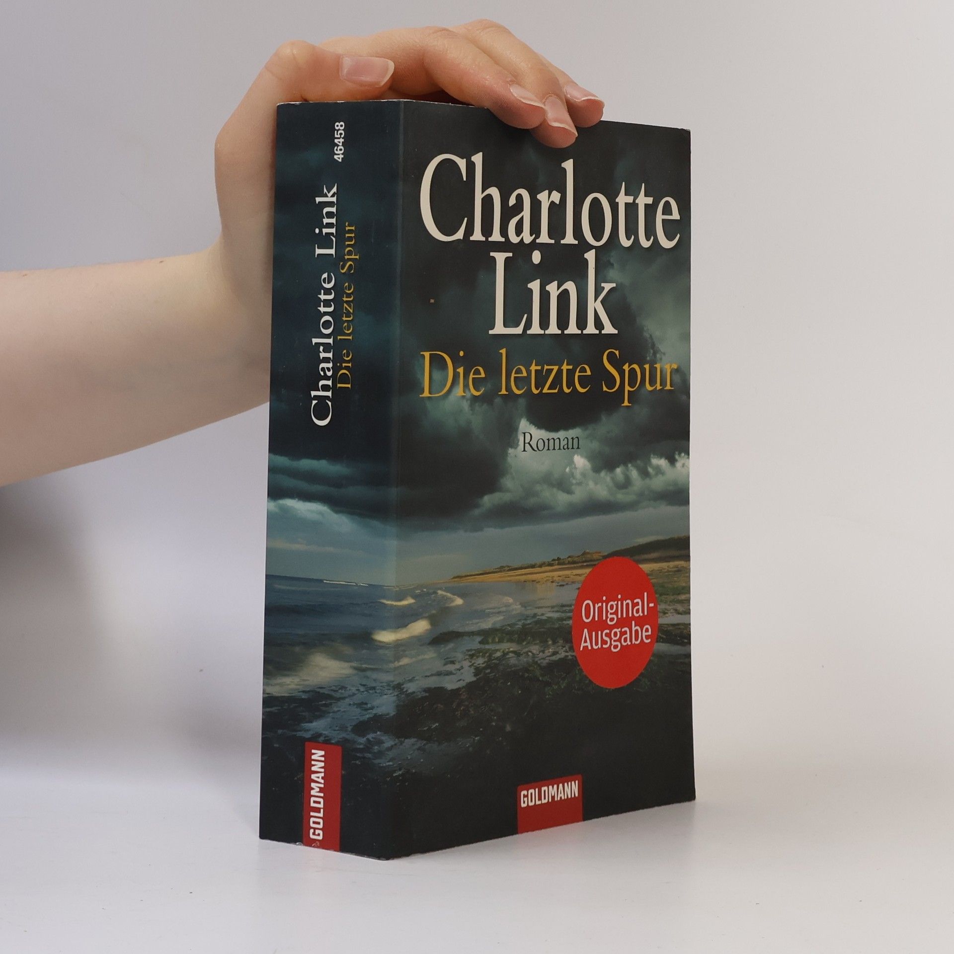 Charlotte Link Die letzte Spur