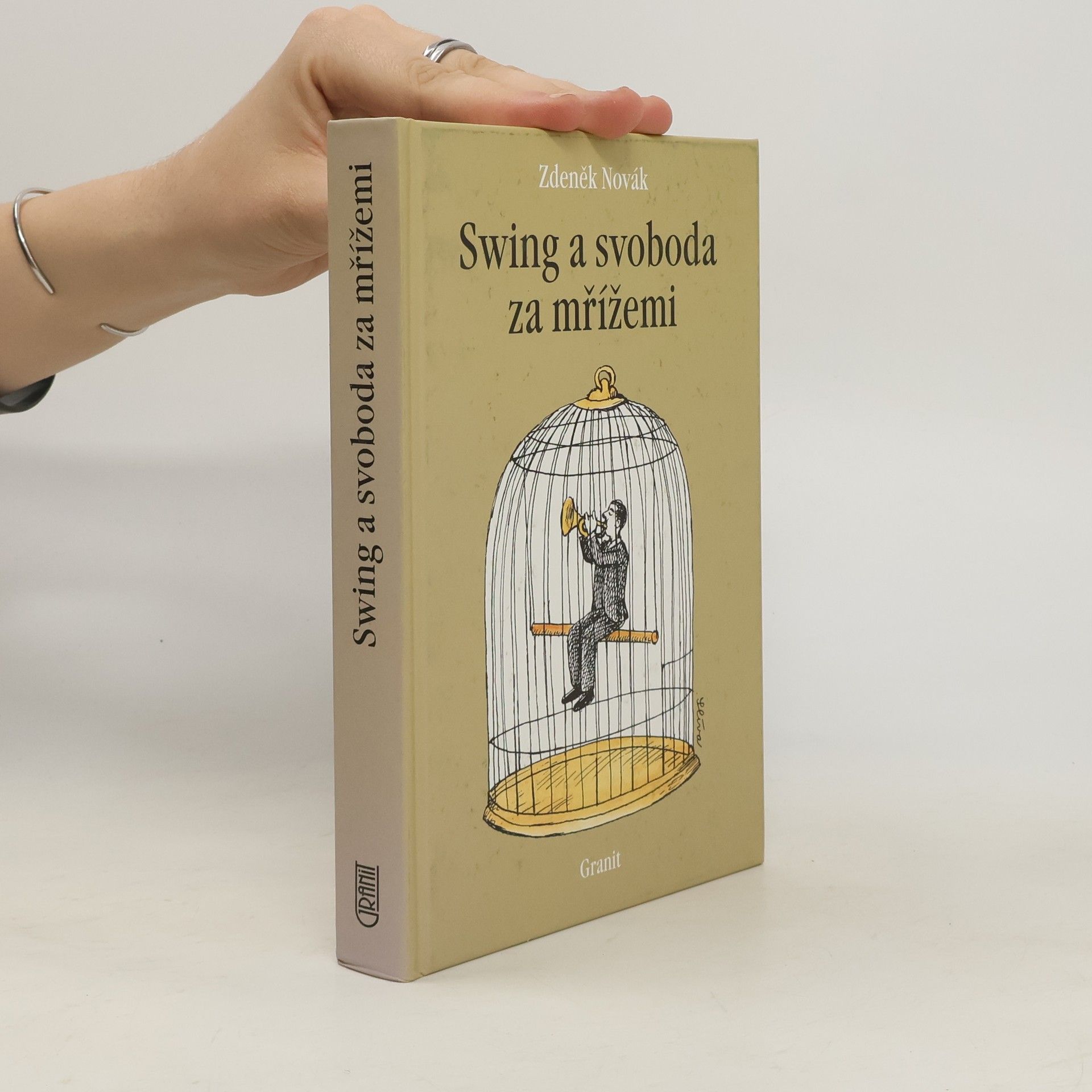 Zdeněk Novák Swing a svoboda za mřížemi
