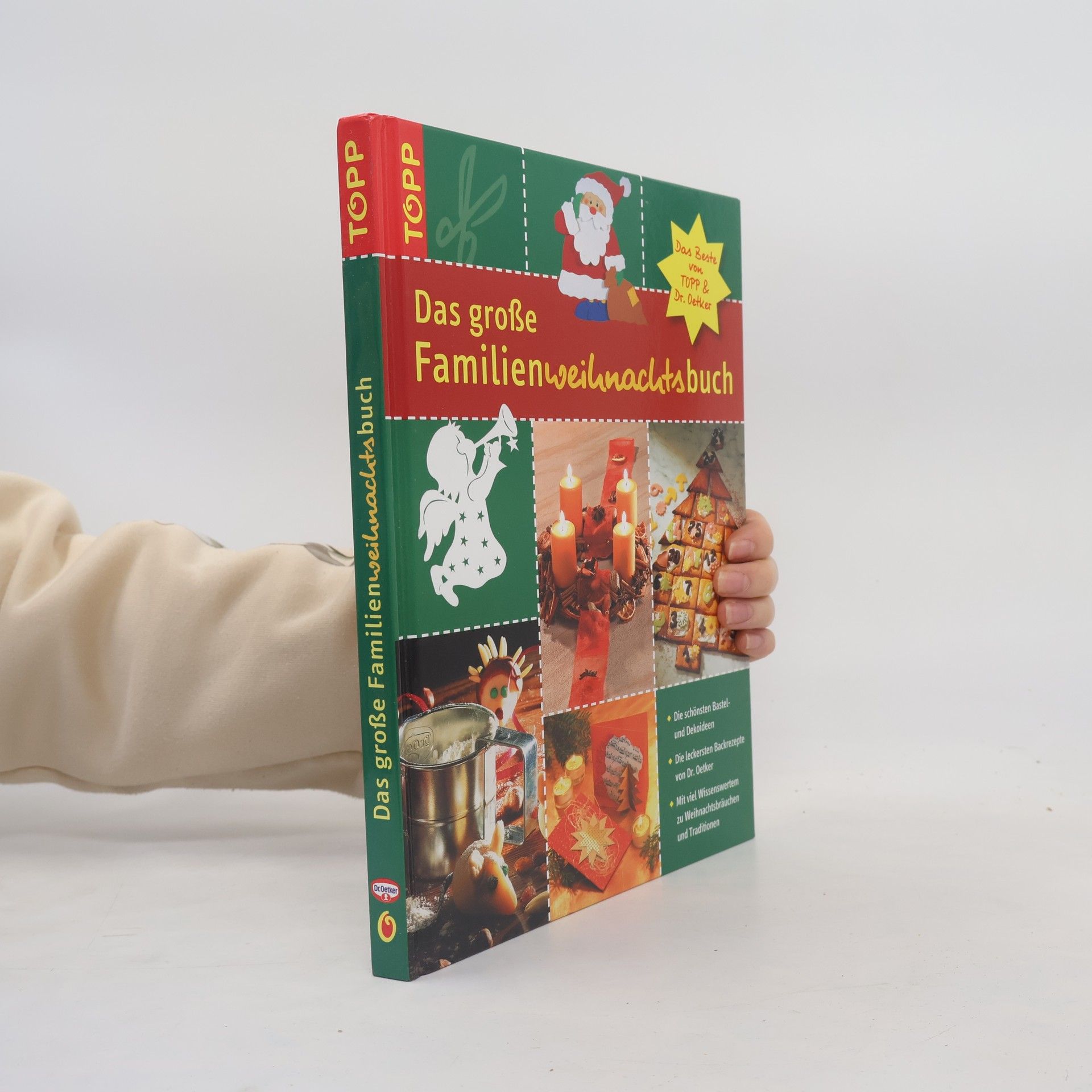Various authors Das große Familienweihnachtsbuch