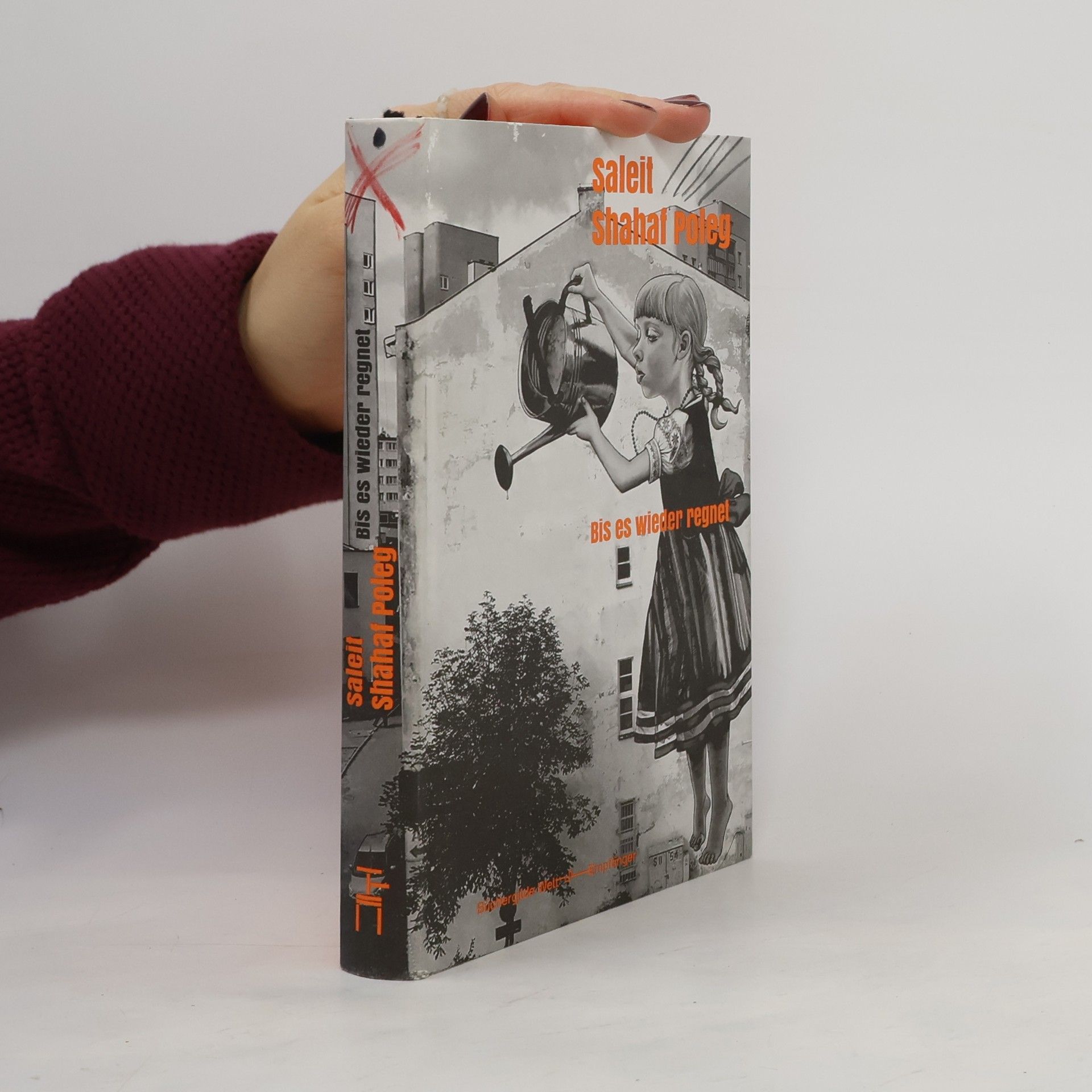 Saleit Shahat Poleg Bis es wieder regnet