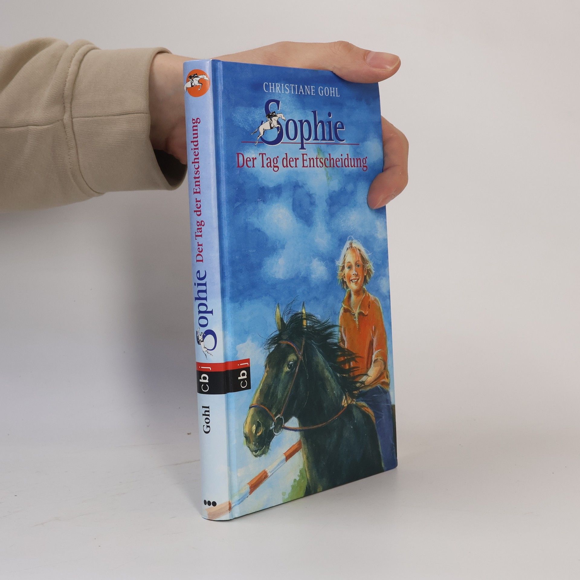 Christiane Gohl Sophie - Der Tag der Entscheidung