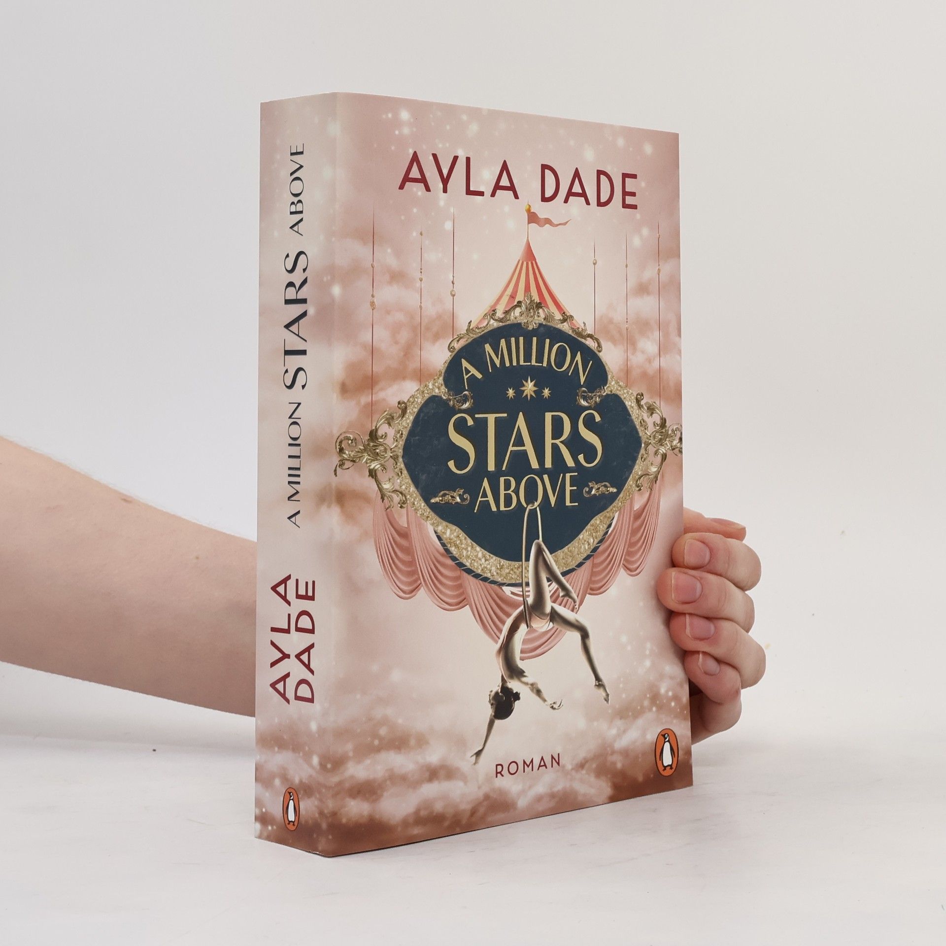 Ayla Dade A Million Stars Above / Sky Circus Bd.1