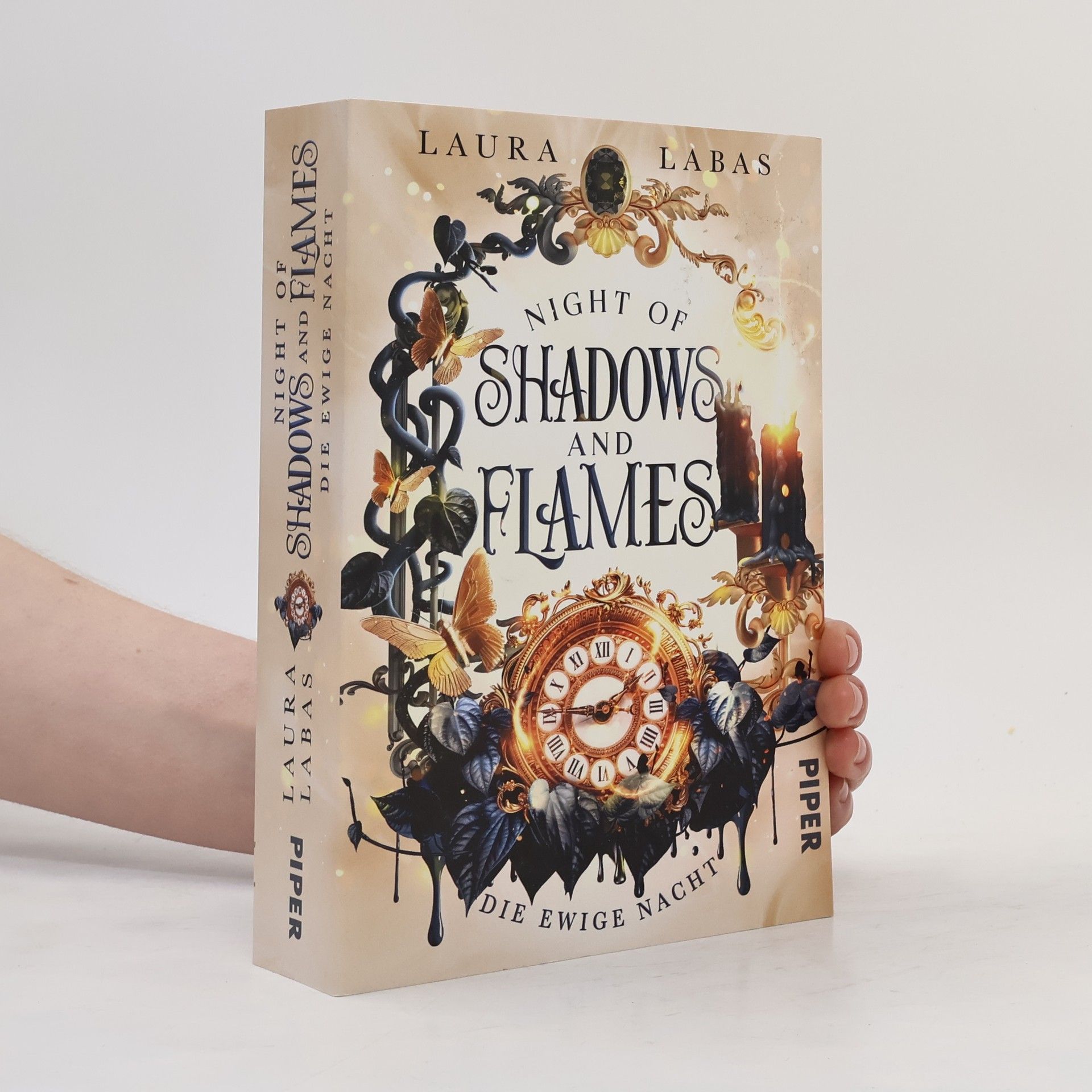 Die Ewige Nacht / Night of Shadows and Flames Bd.2