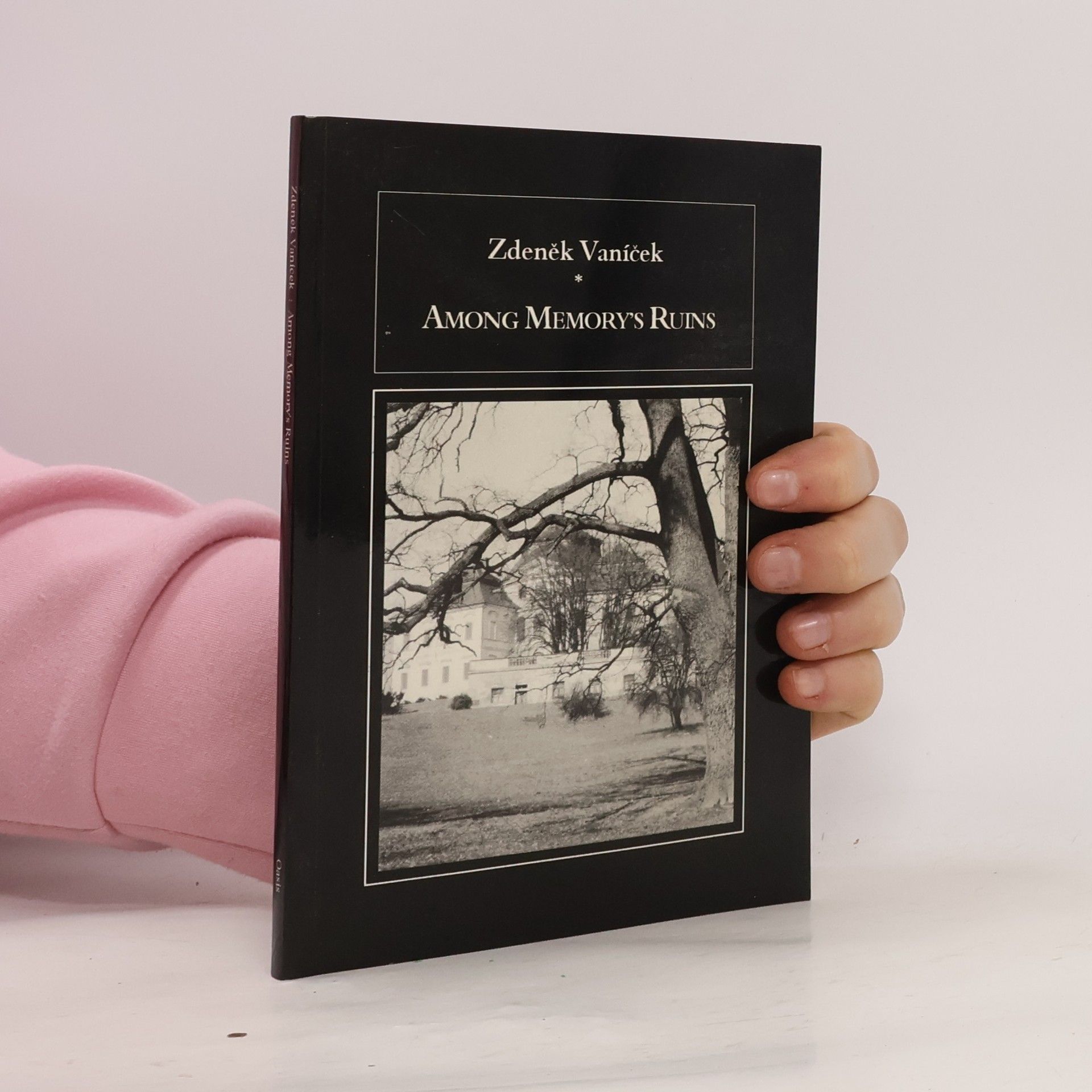 Among Memory's Ruins