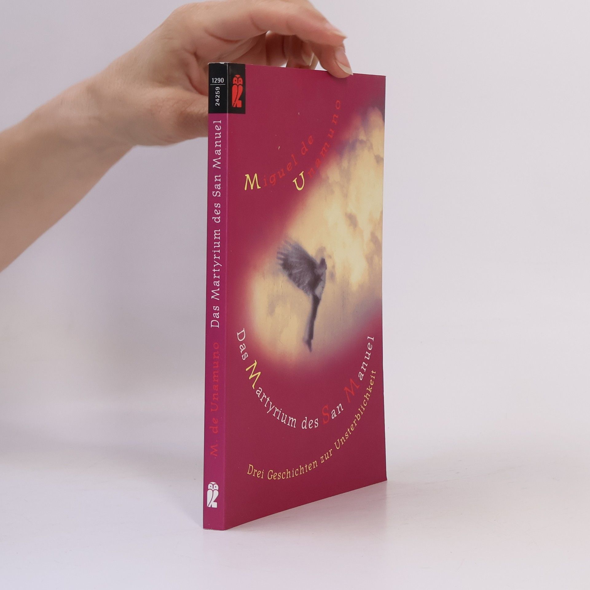 Miguel de Unamuno Das Martyrium des San Manuel. Drei Geschichten zur Unsterblichkeit. Nachw. v. Erna Pfeiffer