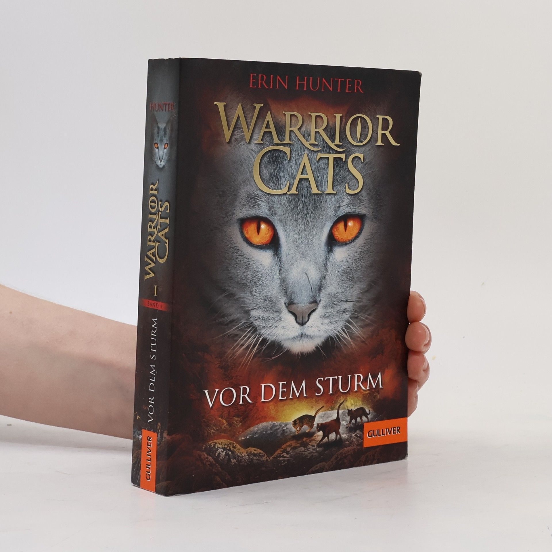Erin Hunter Warrior Cats. Vor dem Sturm