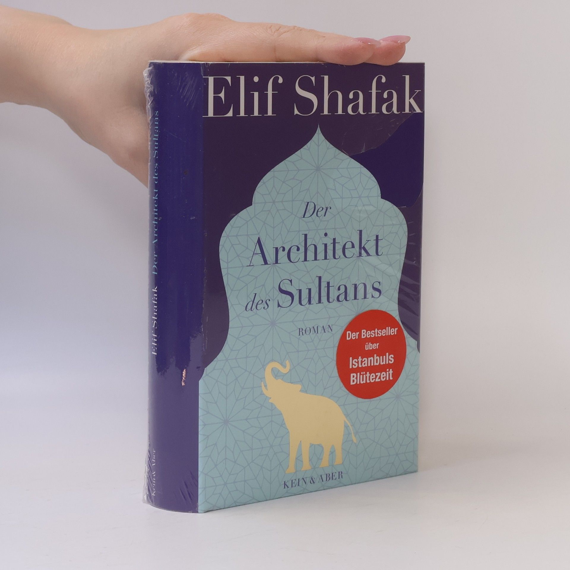 Elif Şafak Der Architekt des Sultans
