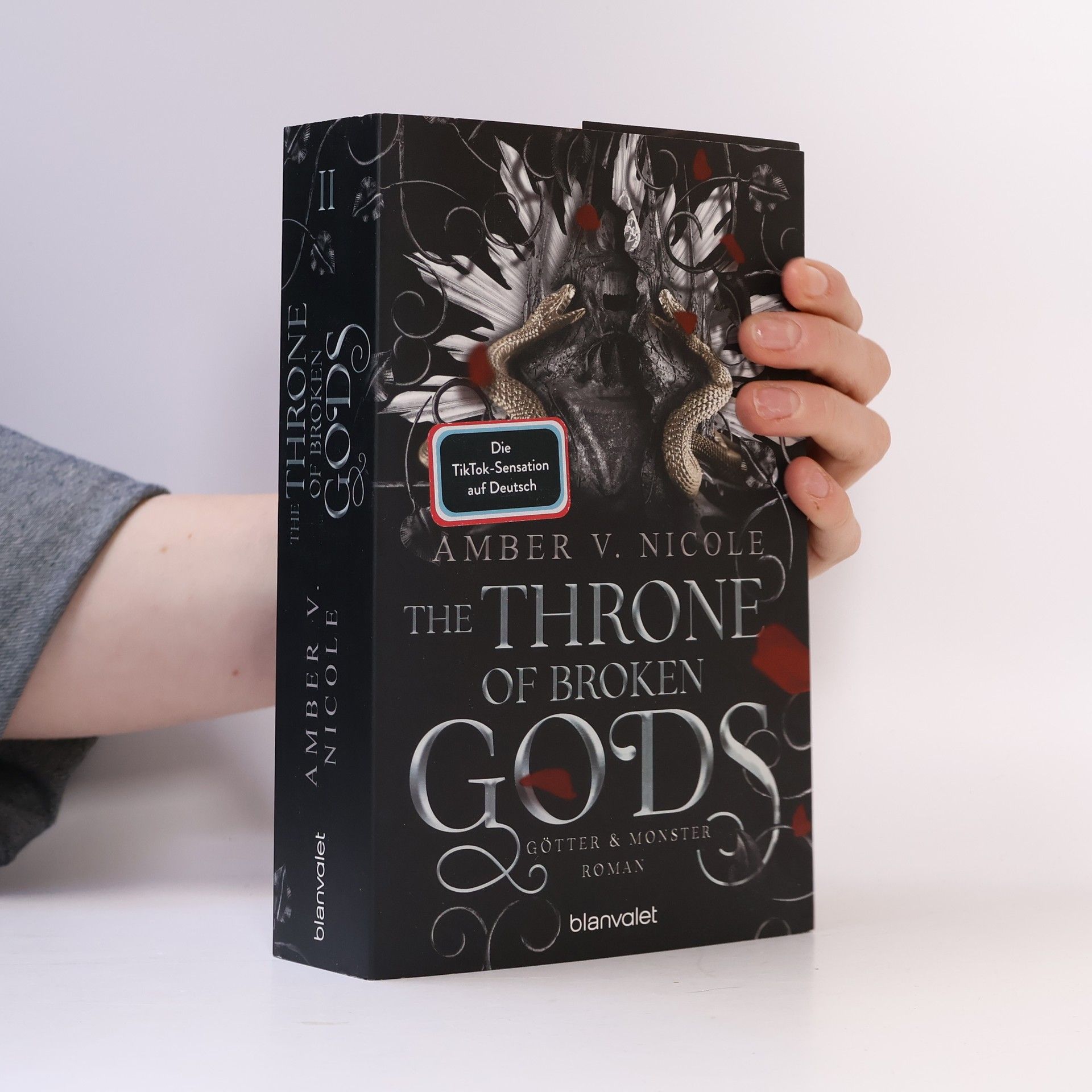 Amber V. Nicole Götter und Monster - 2: The Throne of Broken Gods