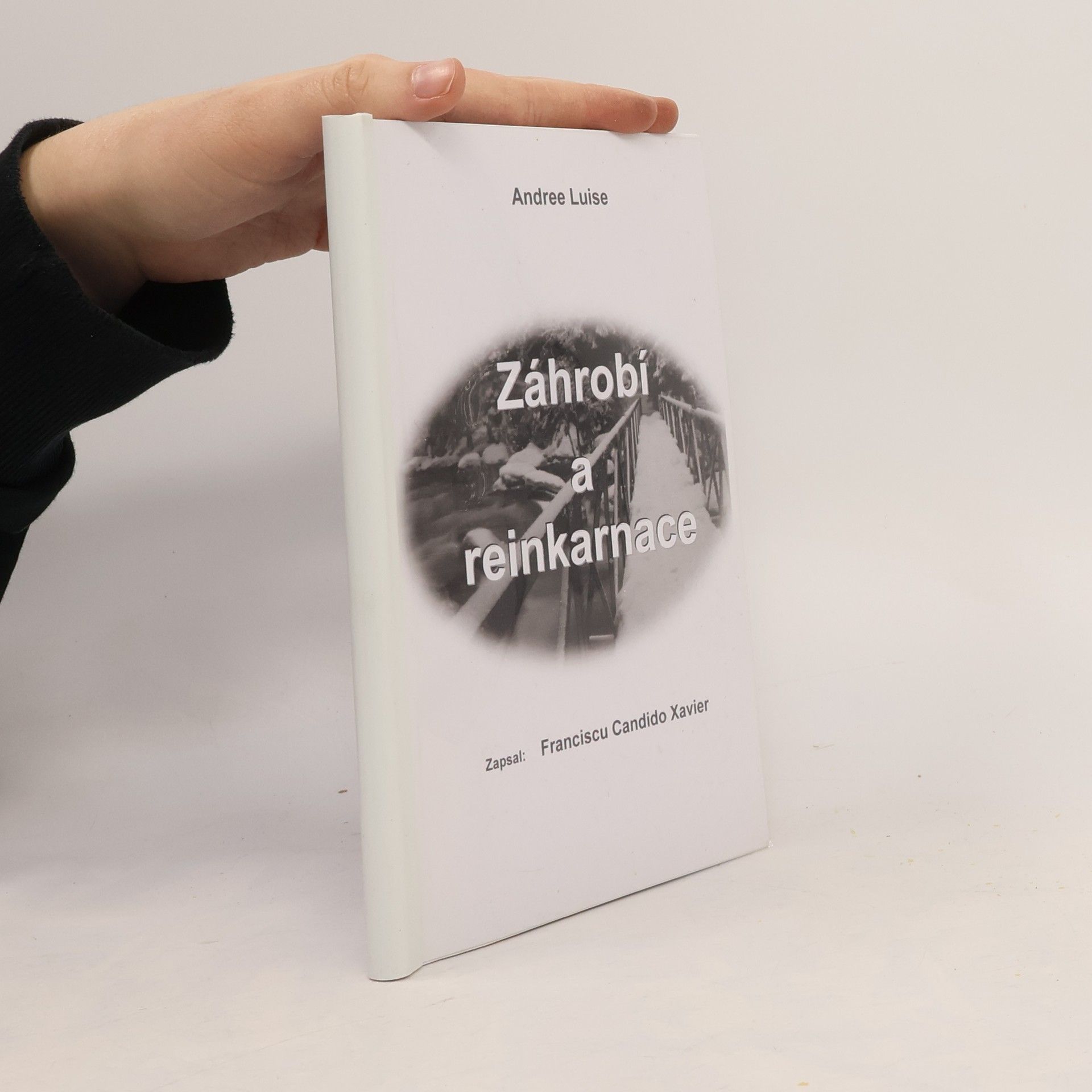 Andree Luise Záhrobí a reinkarnace