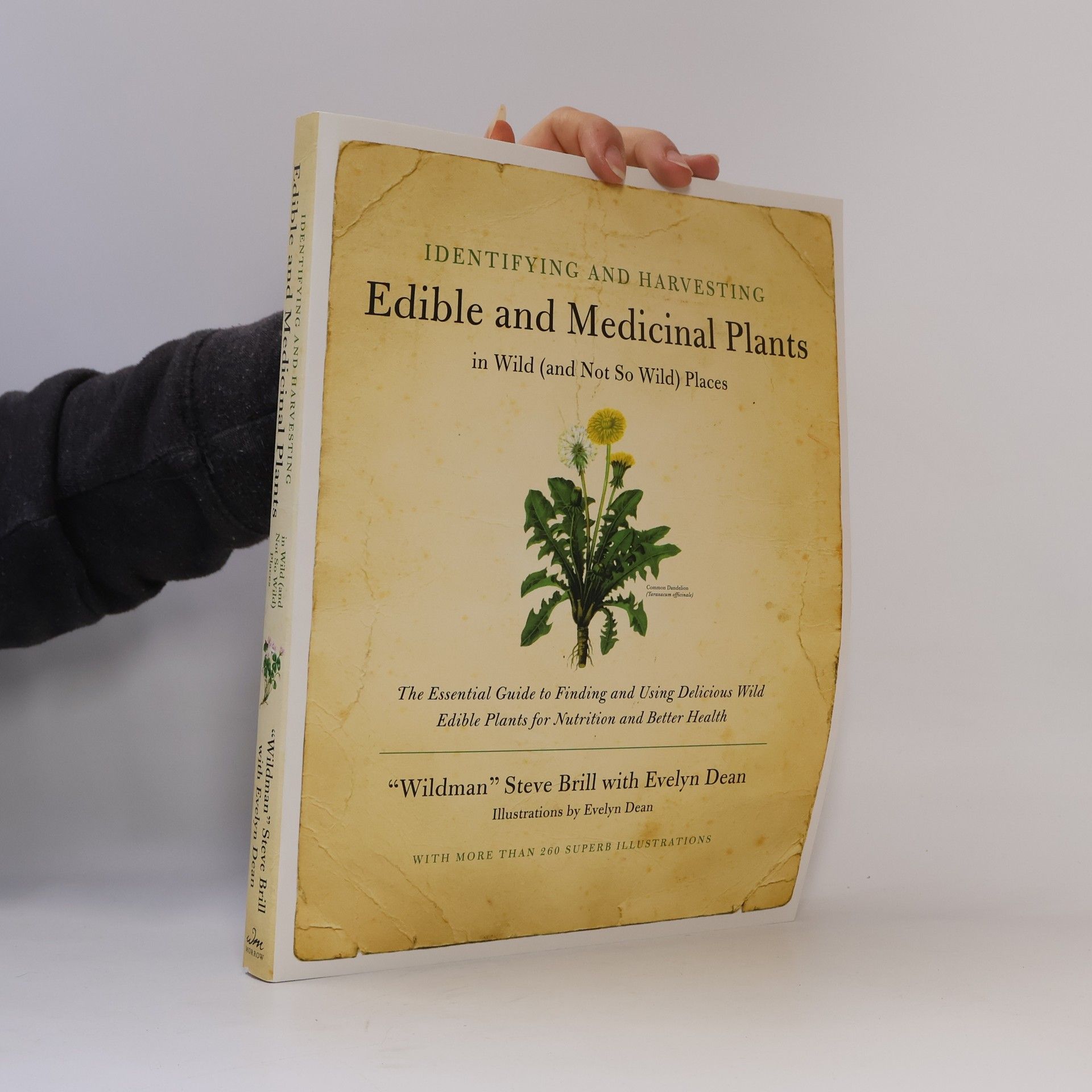 "Wildman" Steve Brill Identifying and Harvesting Edible and Medicinal Plants