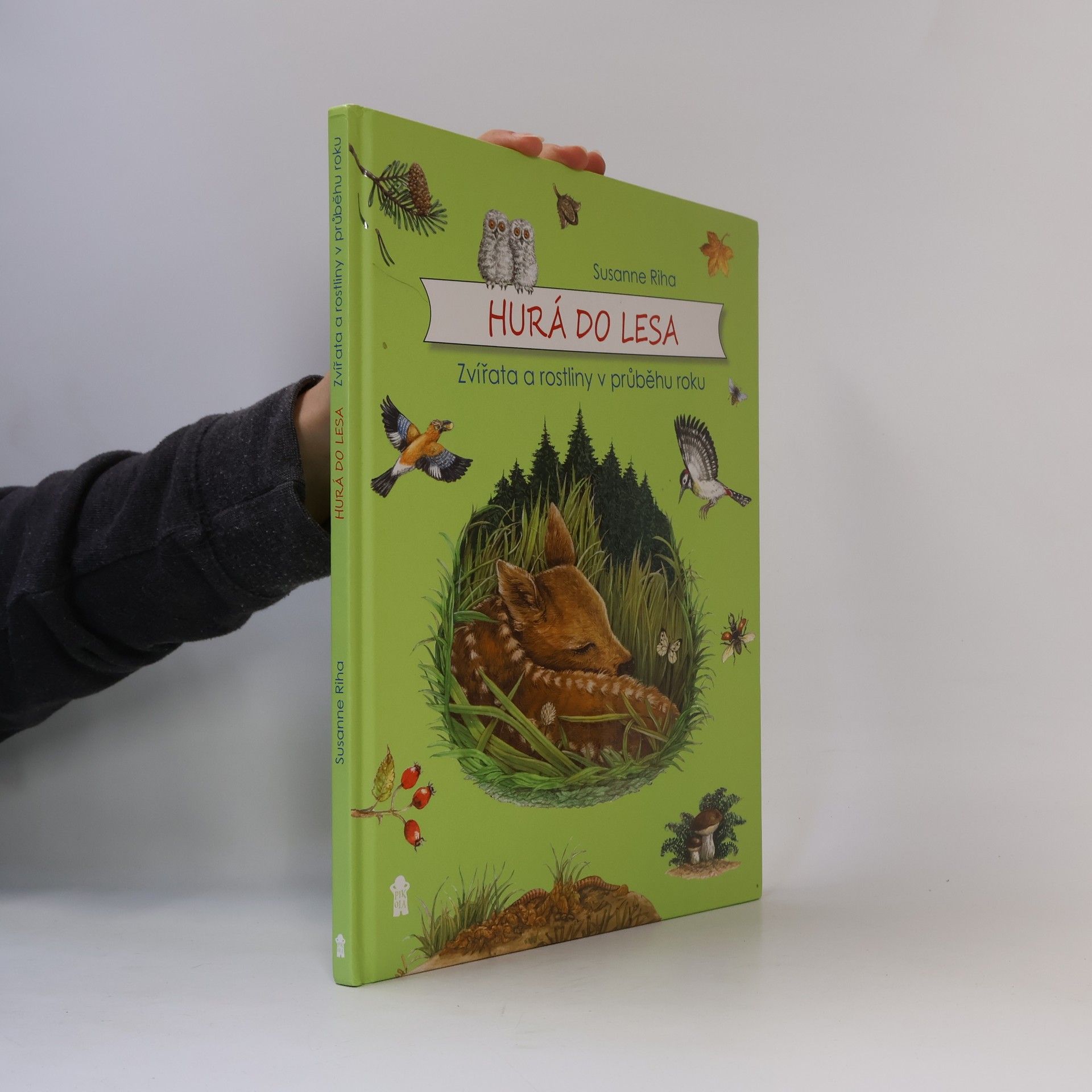 Hurá do lesa - Zvířata a rostliny v průběhu roku