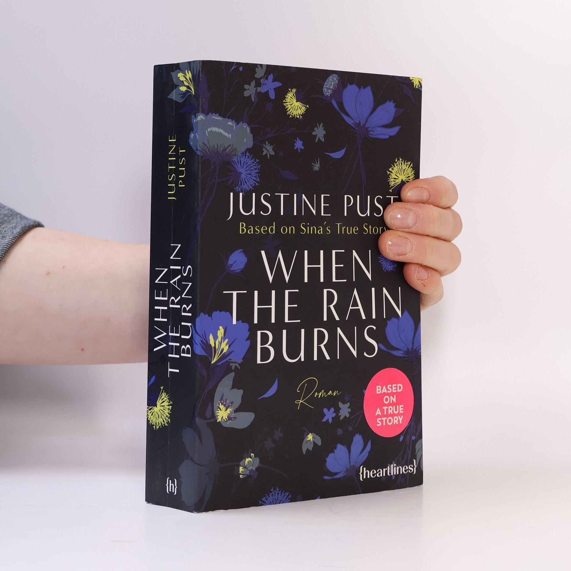 Justine Pust When the Rain Burns