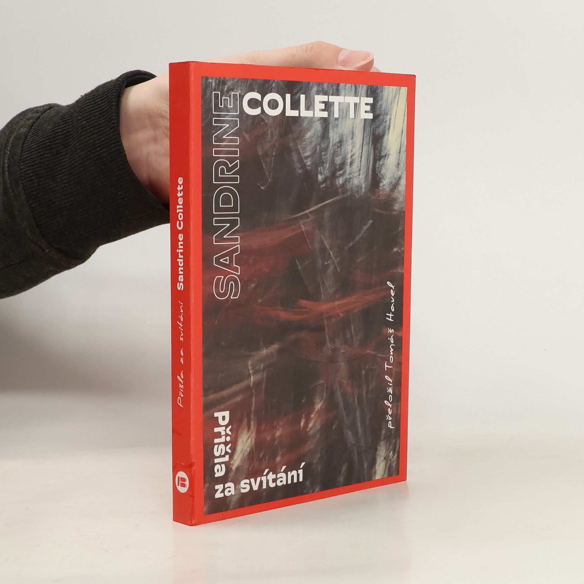 Sandrine Collette Přišla za svítání