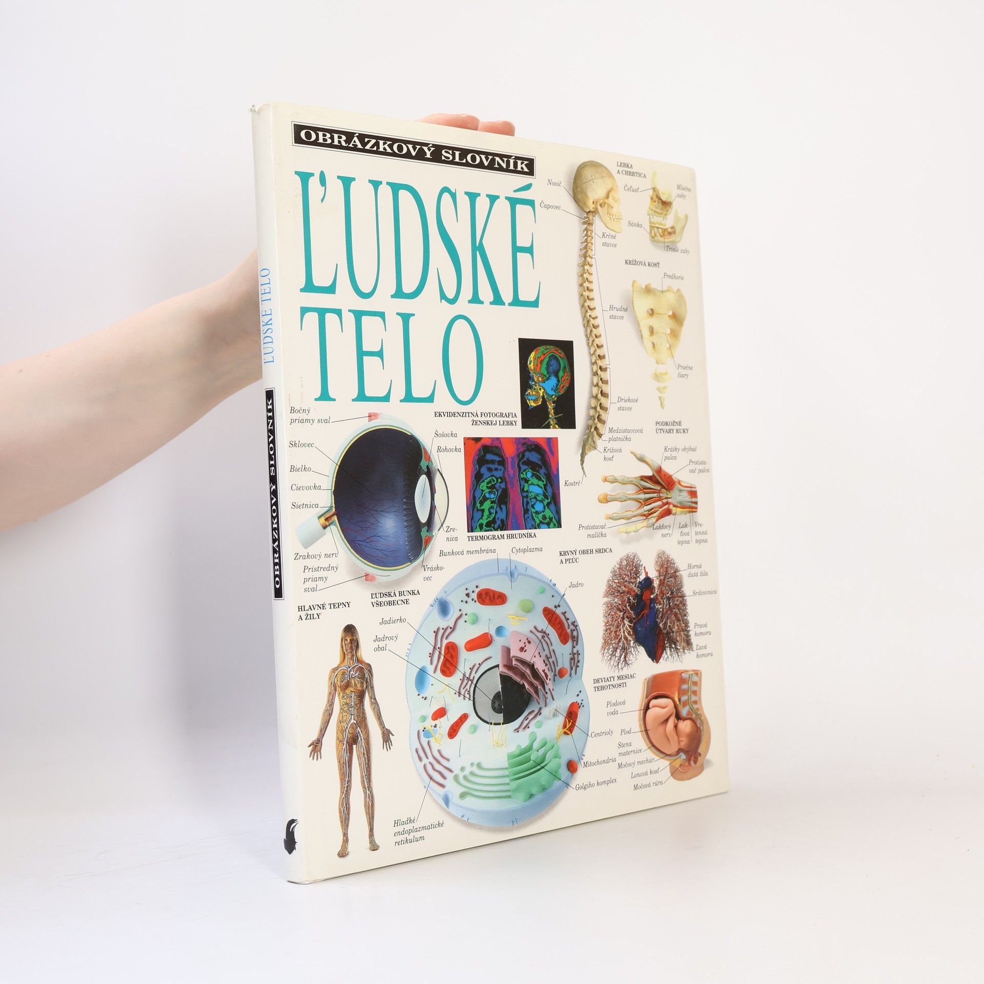 Kolektív autorov ľudské telo