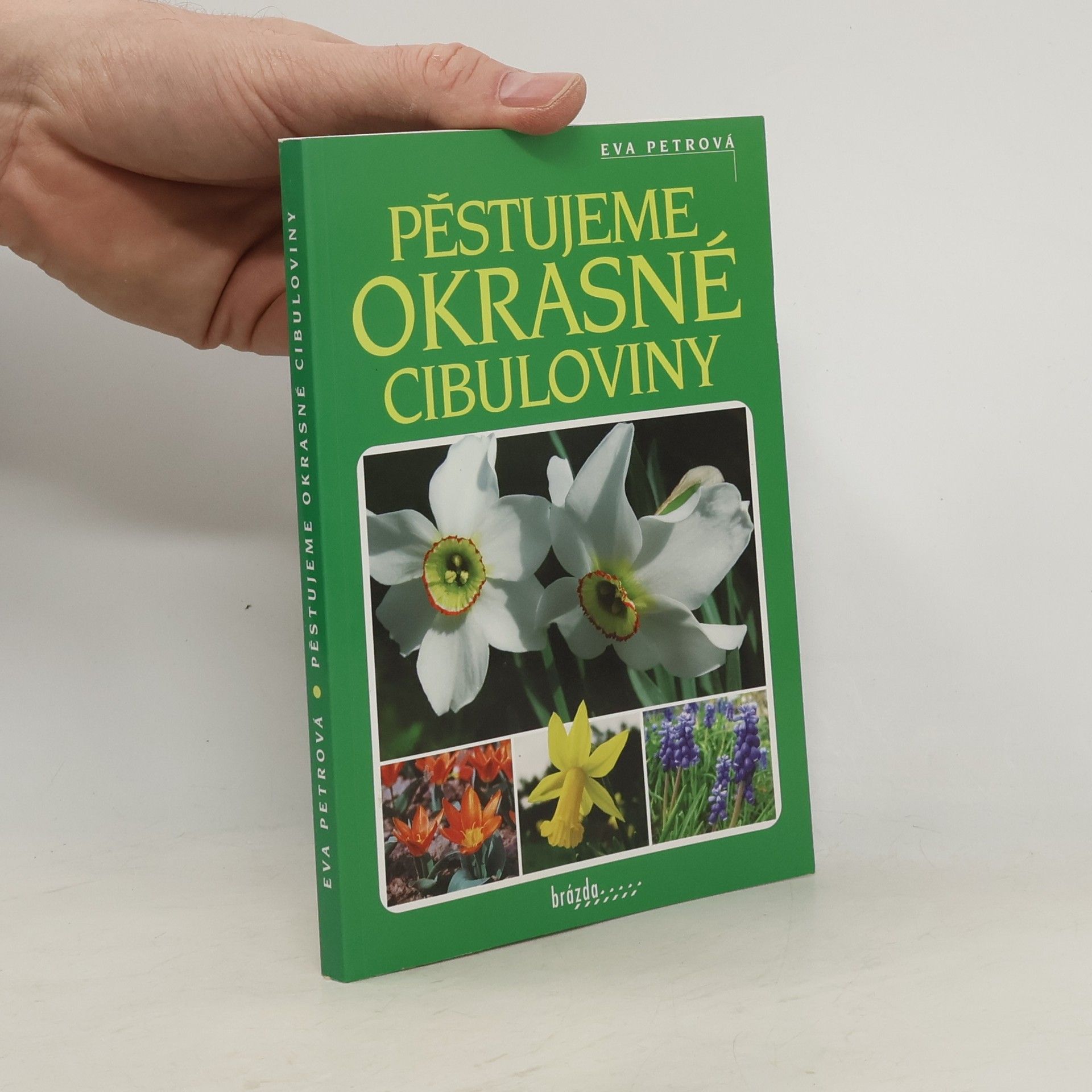 Eva Petrová Pěstujeme okrasné cibuloviny