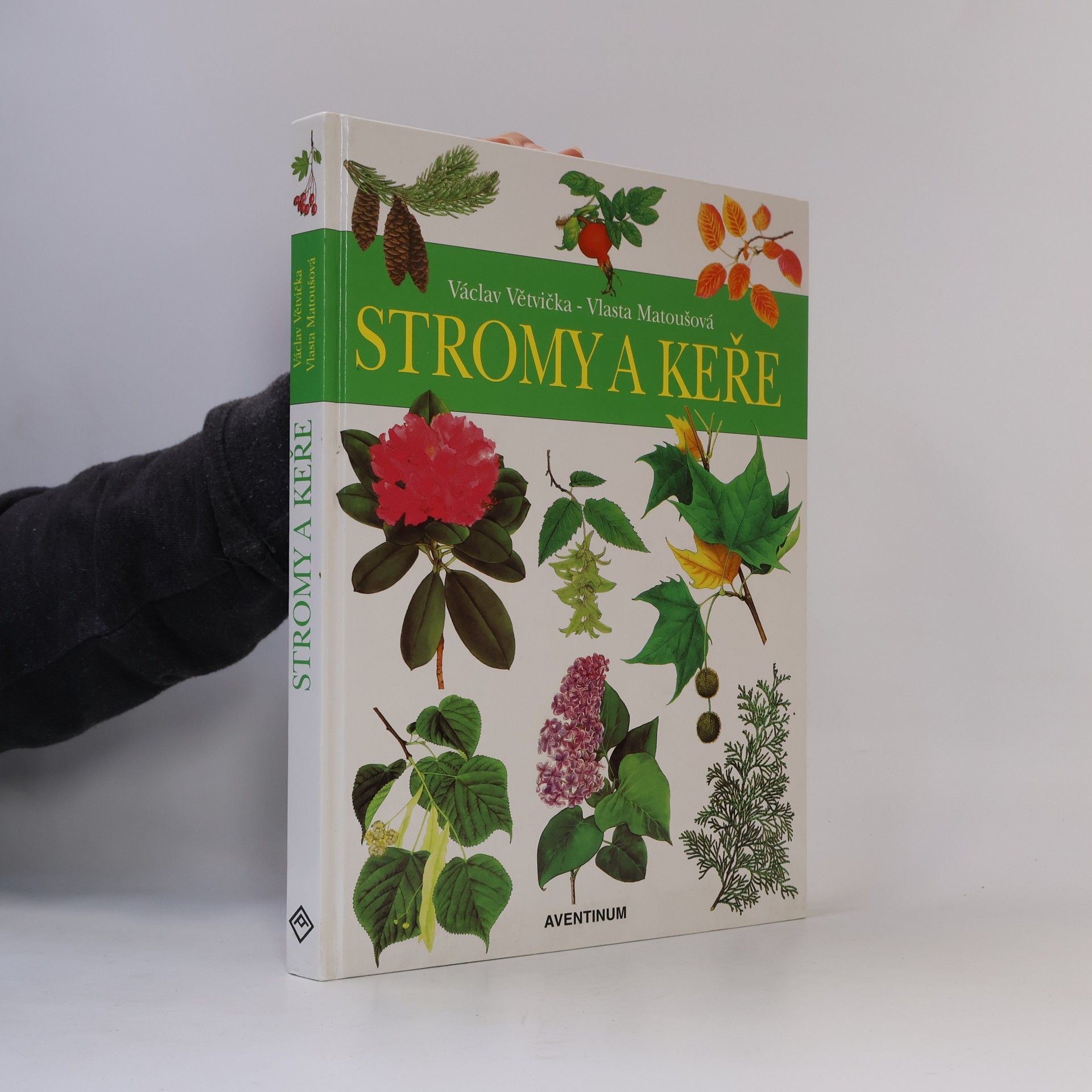 Václav Větvička Stromy a keře