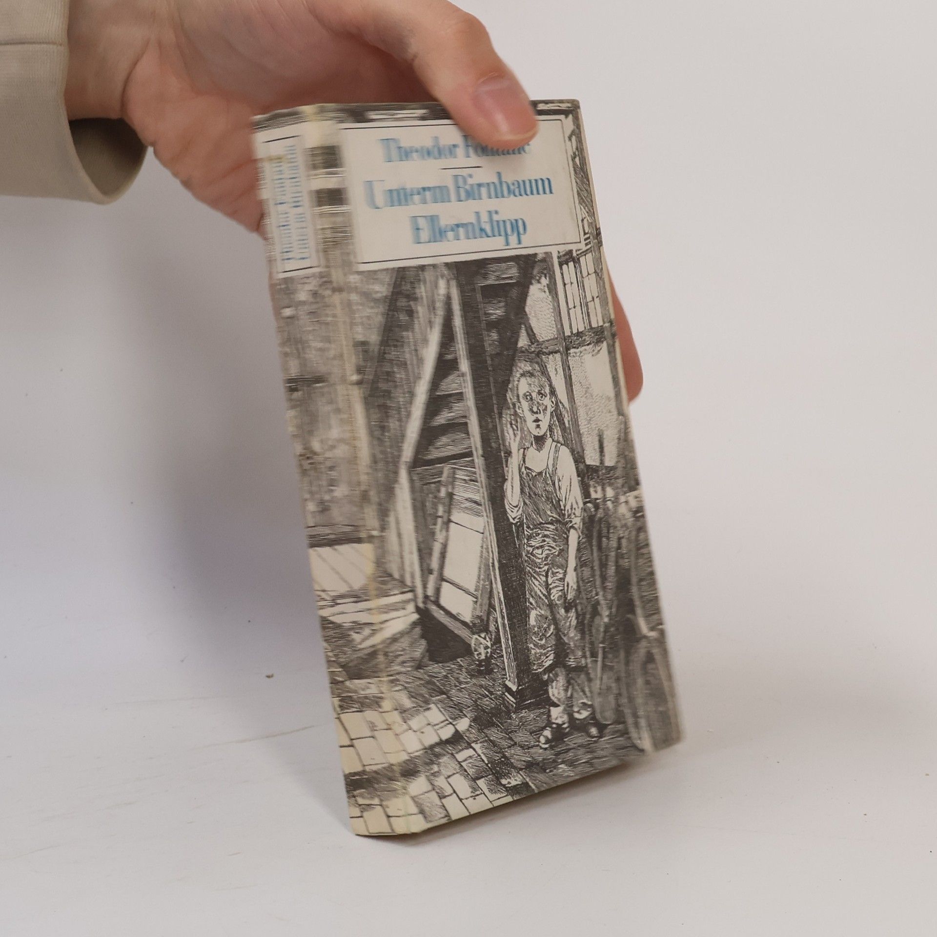 Theodor Fontane Unterm Birnbaum Ellernklipp