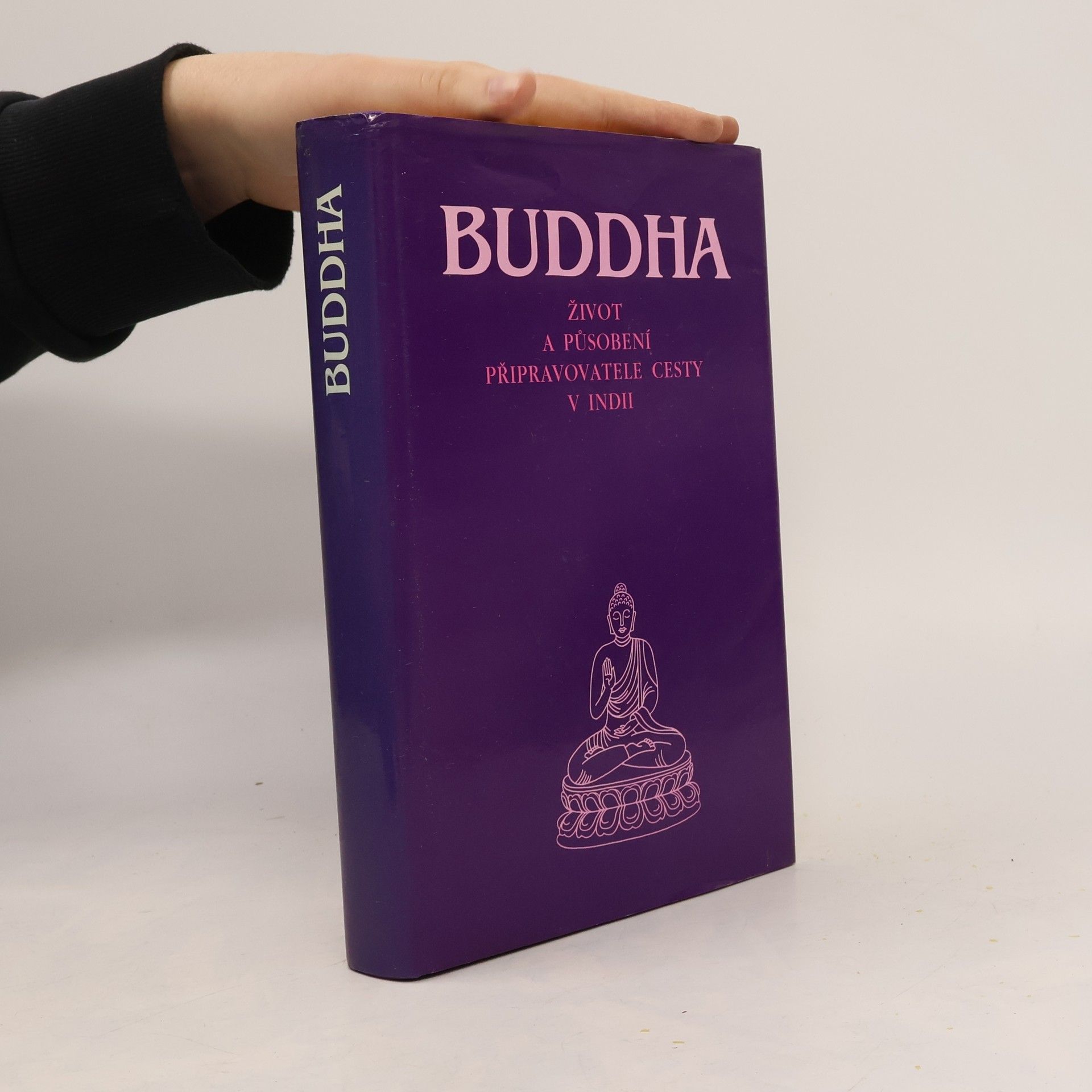 Autores varios Budha. Život a působení připravovatele cesty v Indii