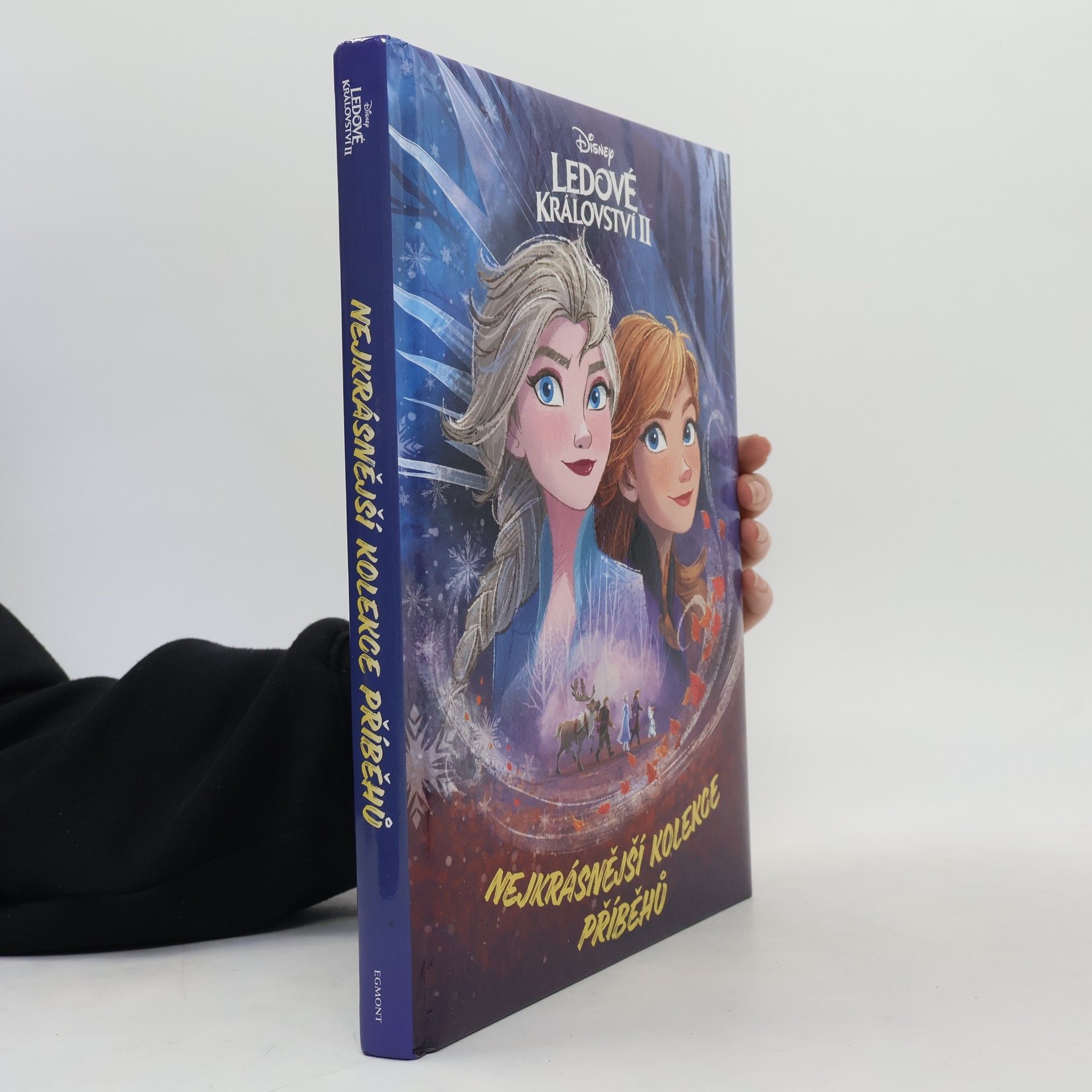 Kolektiv autorů Ledové království II : nejkrásnější kolekce příběhů