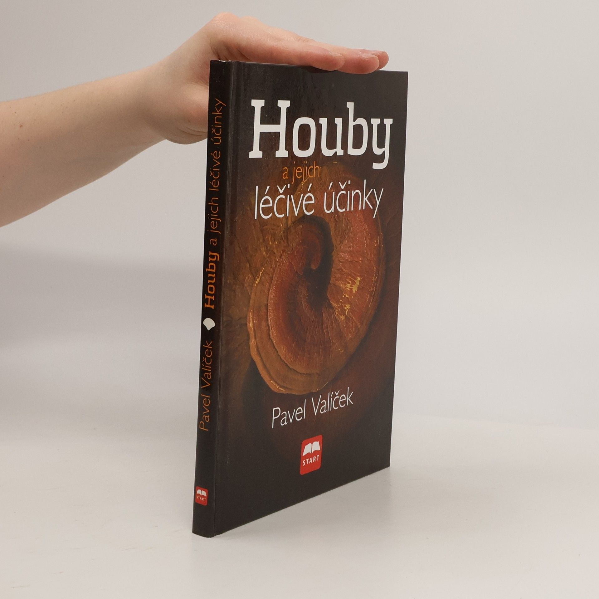 Houby a jejich léčivé účinky