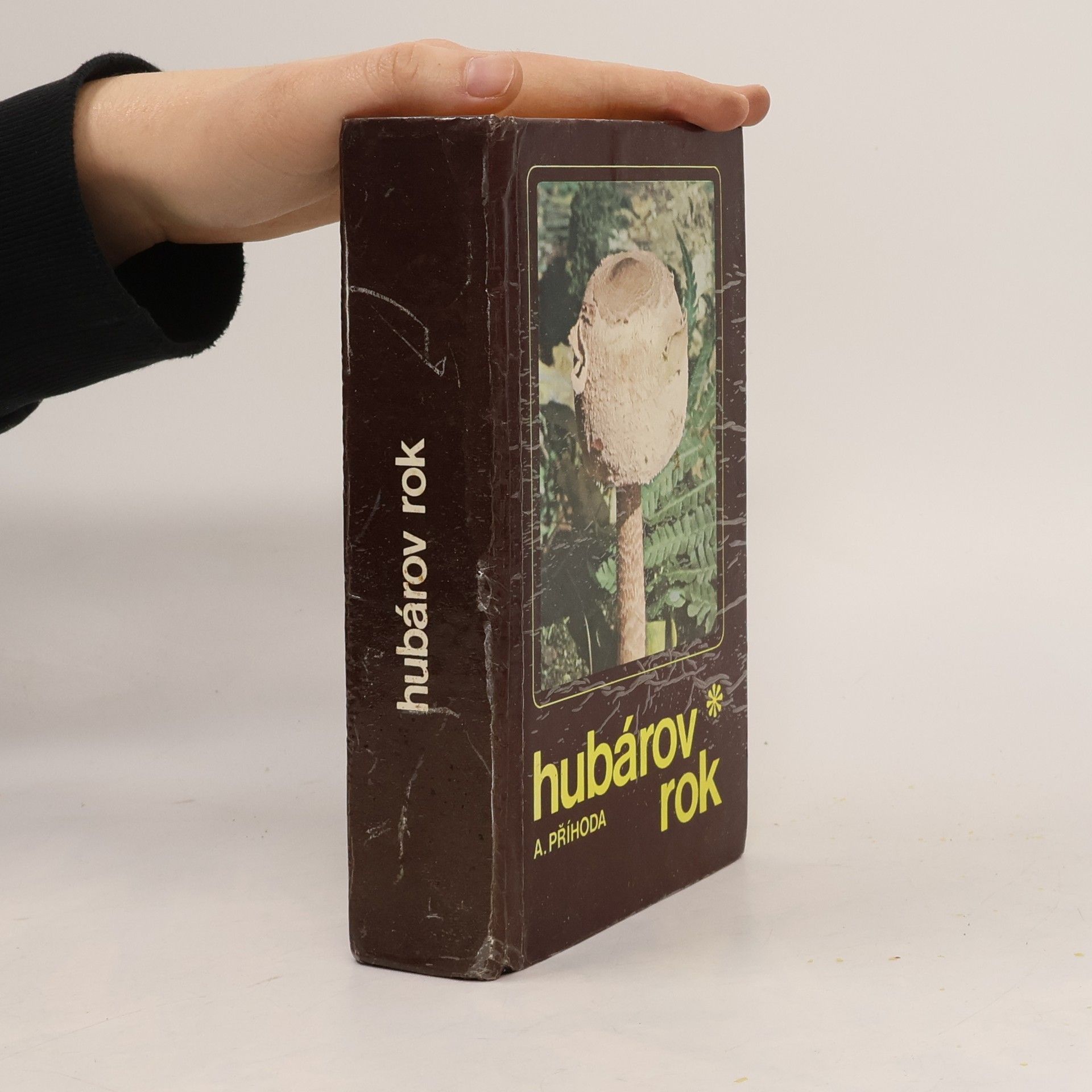 Antonín Příhoda Hubárov rok. Vychádzky za hubami od jari do zimy