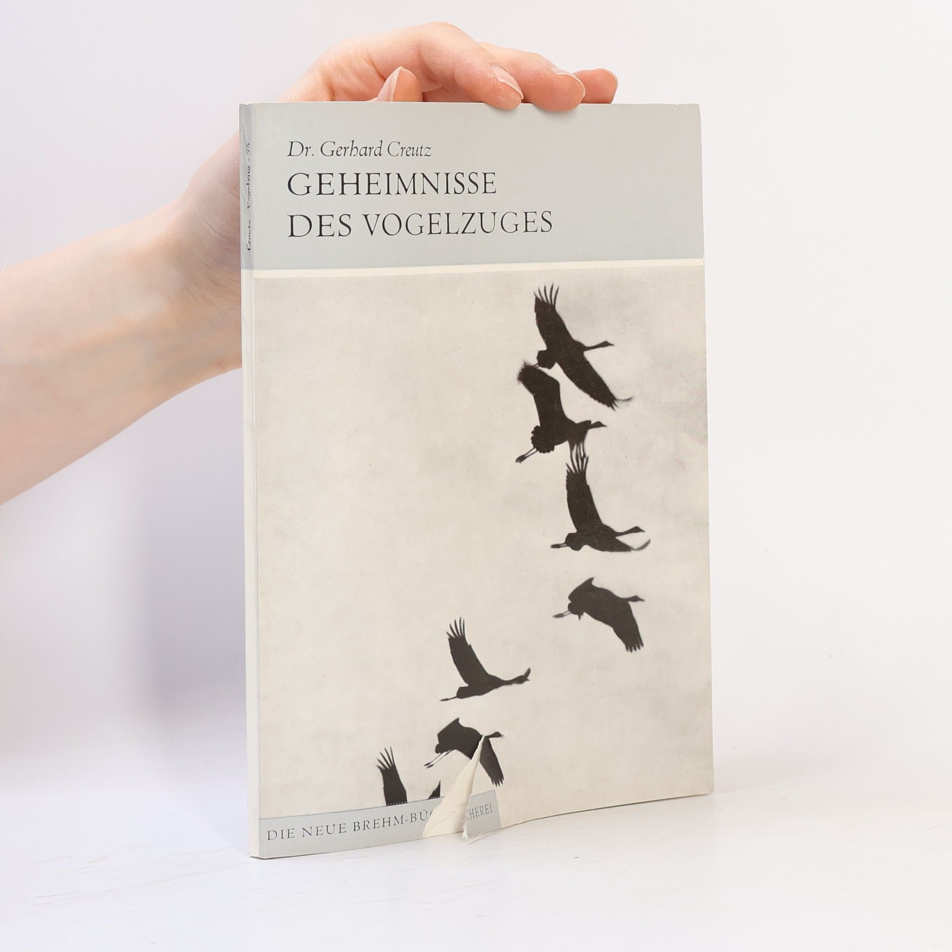Gerhard Creutz Geheimnisse des Vogelzuges