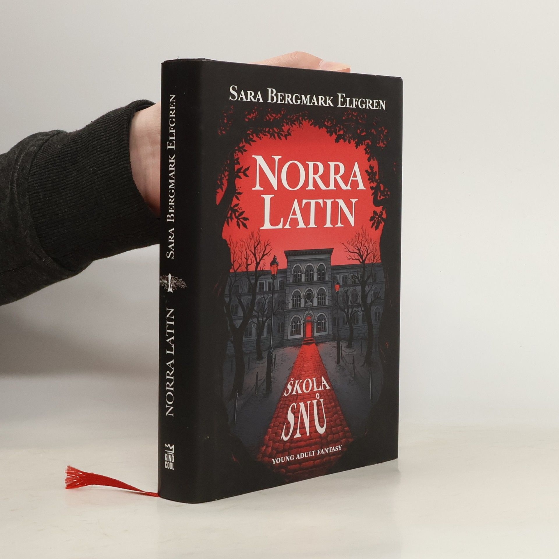 Sara Bergmark Elfgren Norra Latin. Škola snů