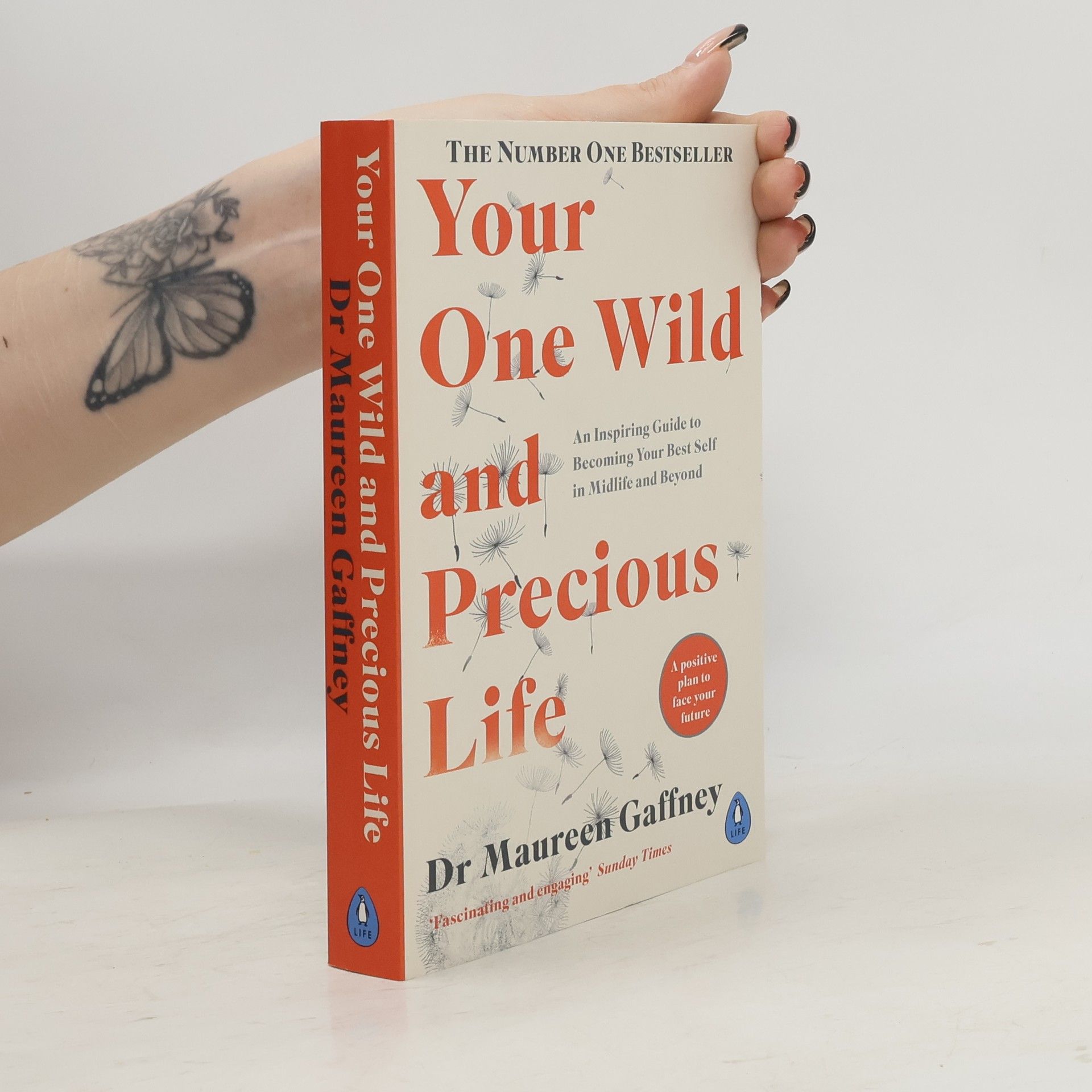 Maureen Gaffney Your One Wild and Precious Life