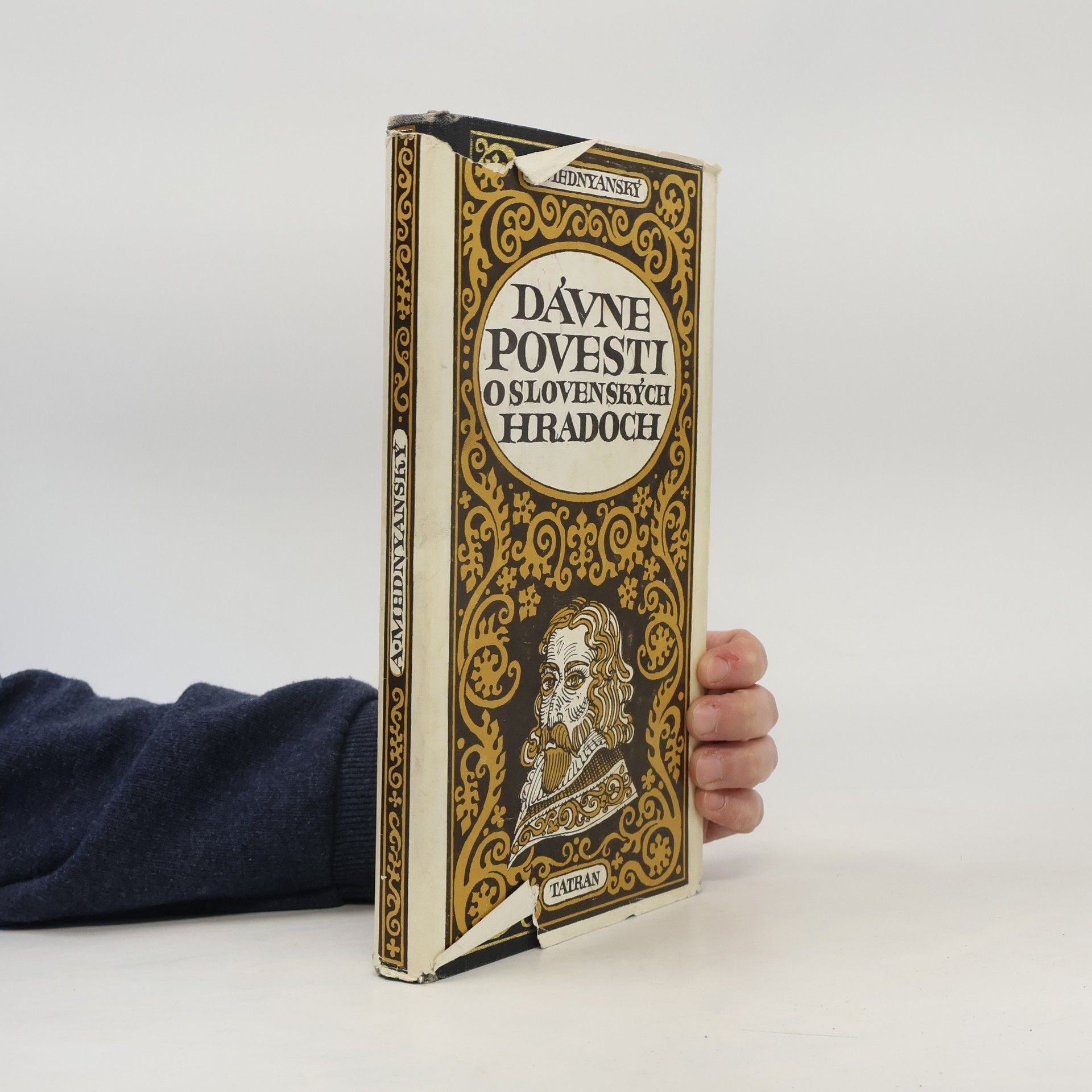 Alajos Mednyánszky Dávne povesti o slovenských hradoch