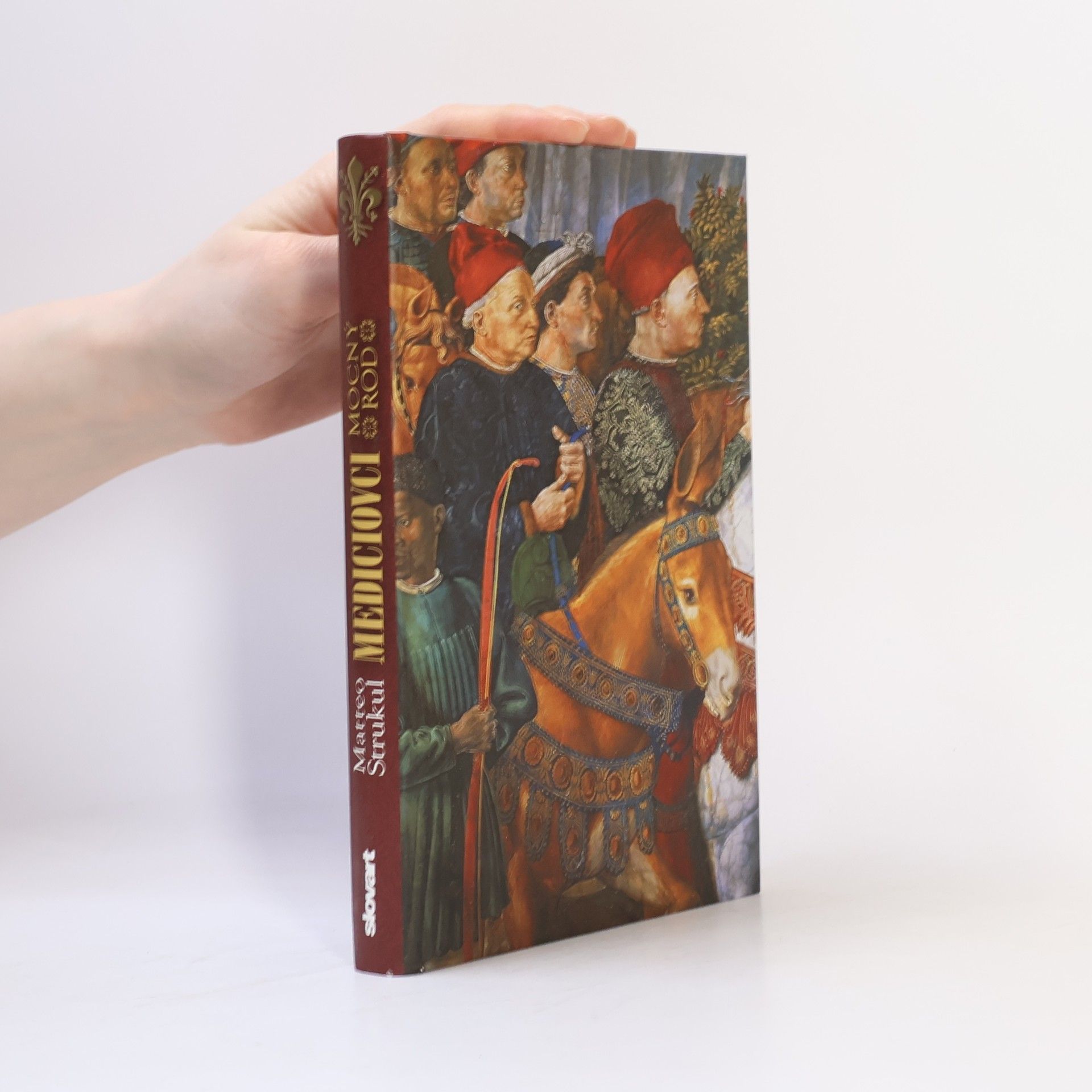 Matteo Strukul Mediciovci: Mocný rod