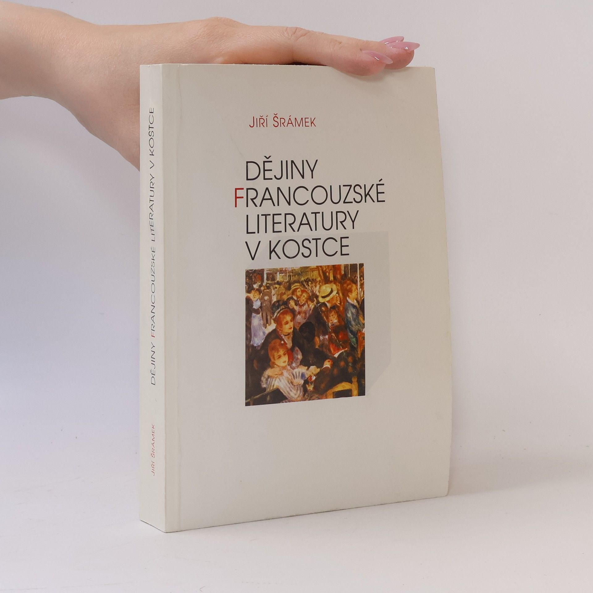 Jiří Šrámek Dějiny francouzské literatury v kostce