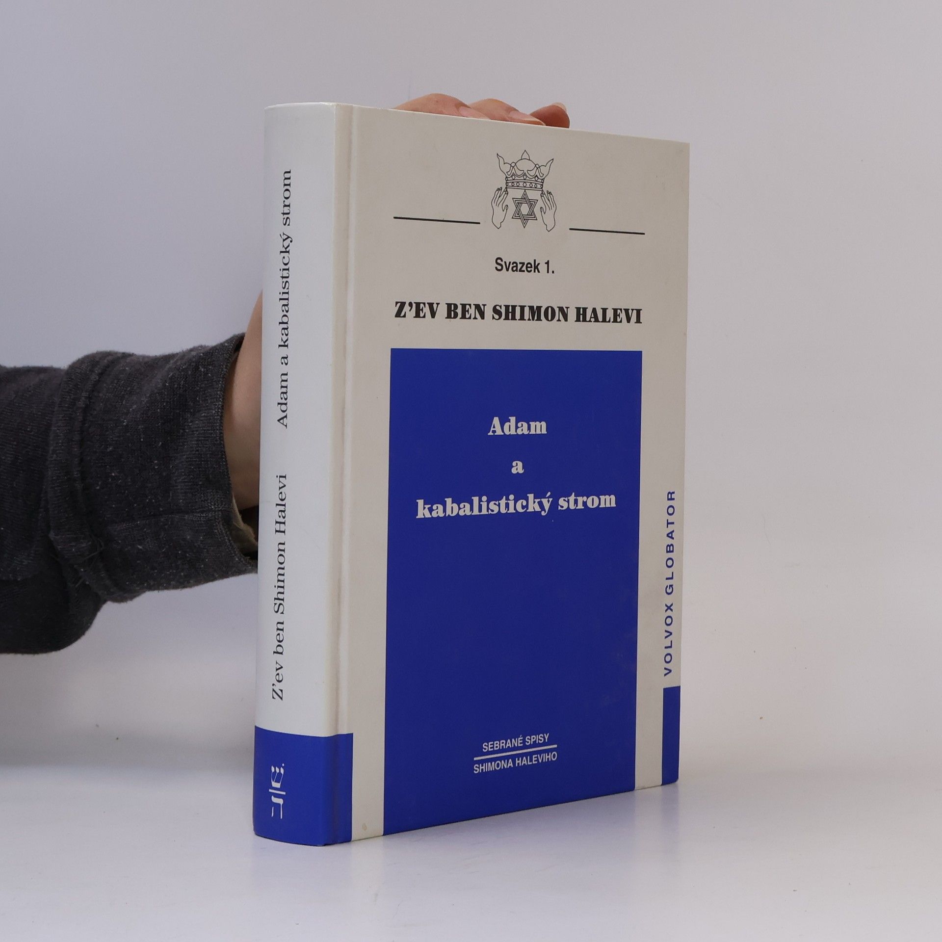 Zev Ben-Shimon Halevi Adam a kabalistický strom