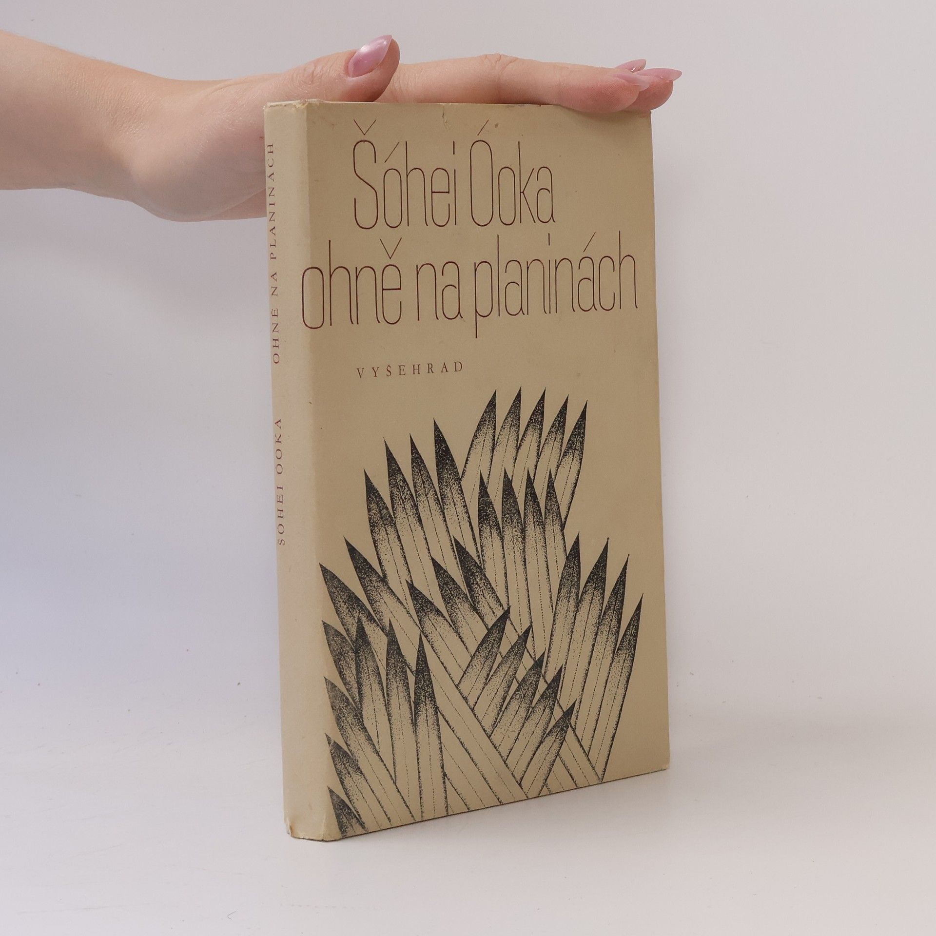 Shōhei Ōoka Ohně na planinách