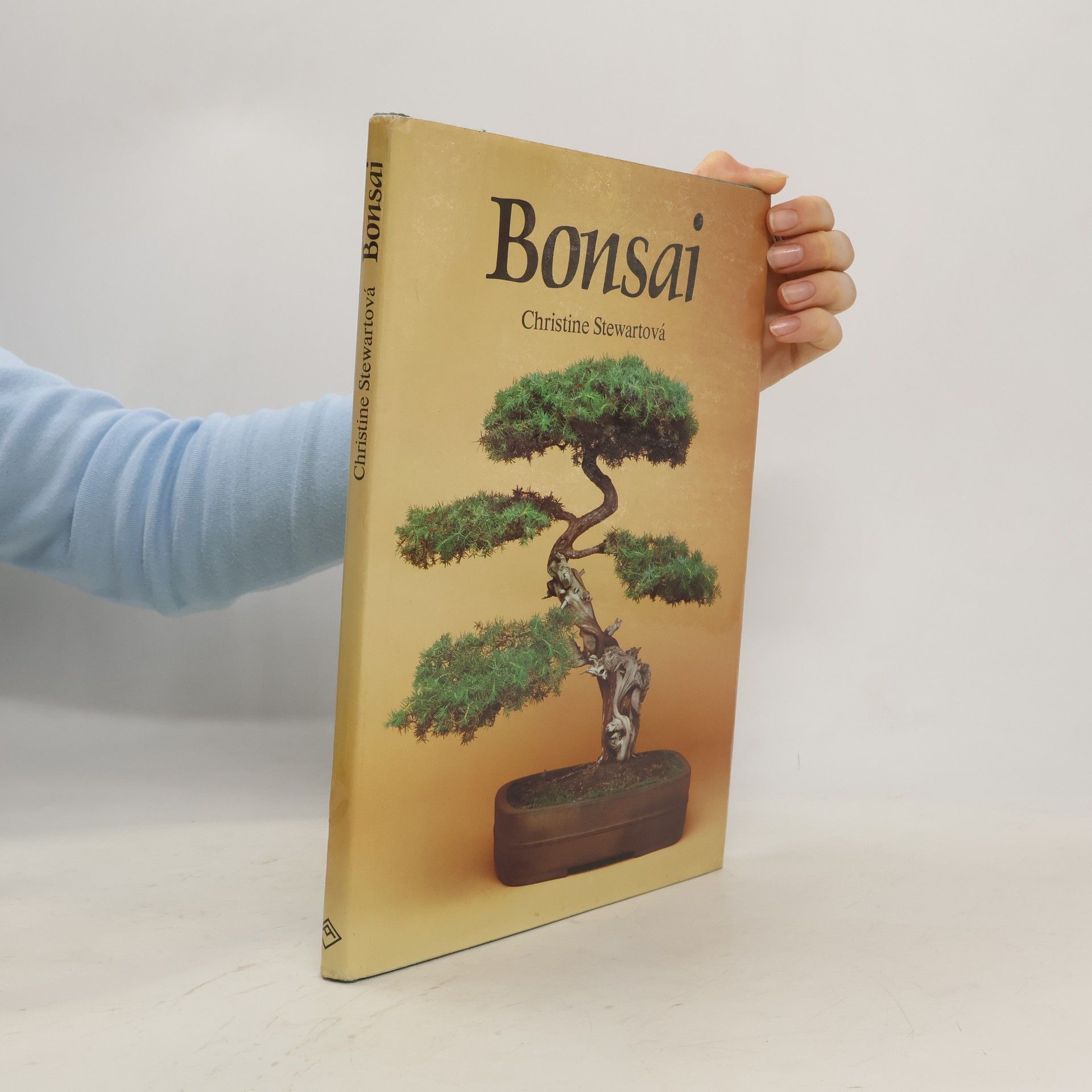 Christine Stewart Bonsai