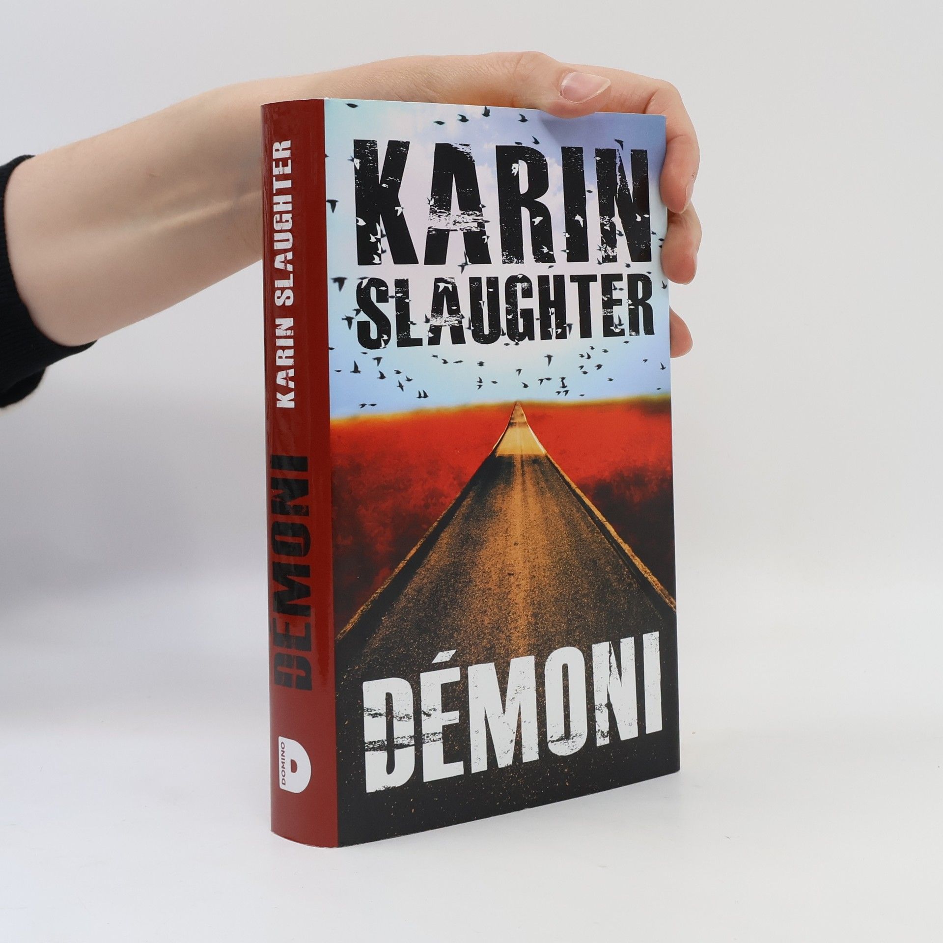 Karin Slaughter Démoni