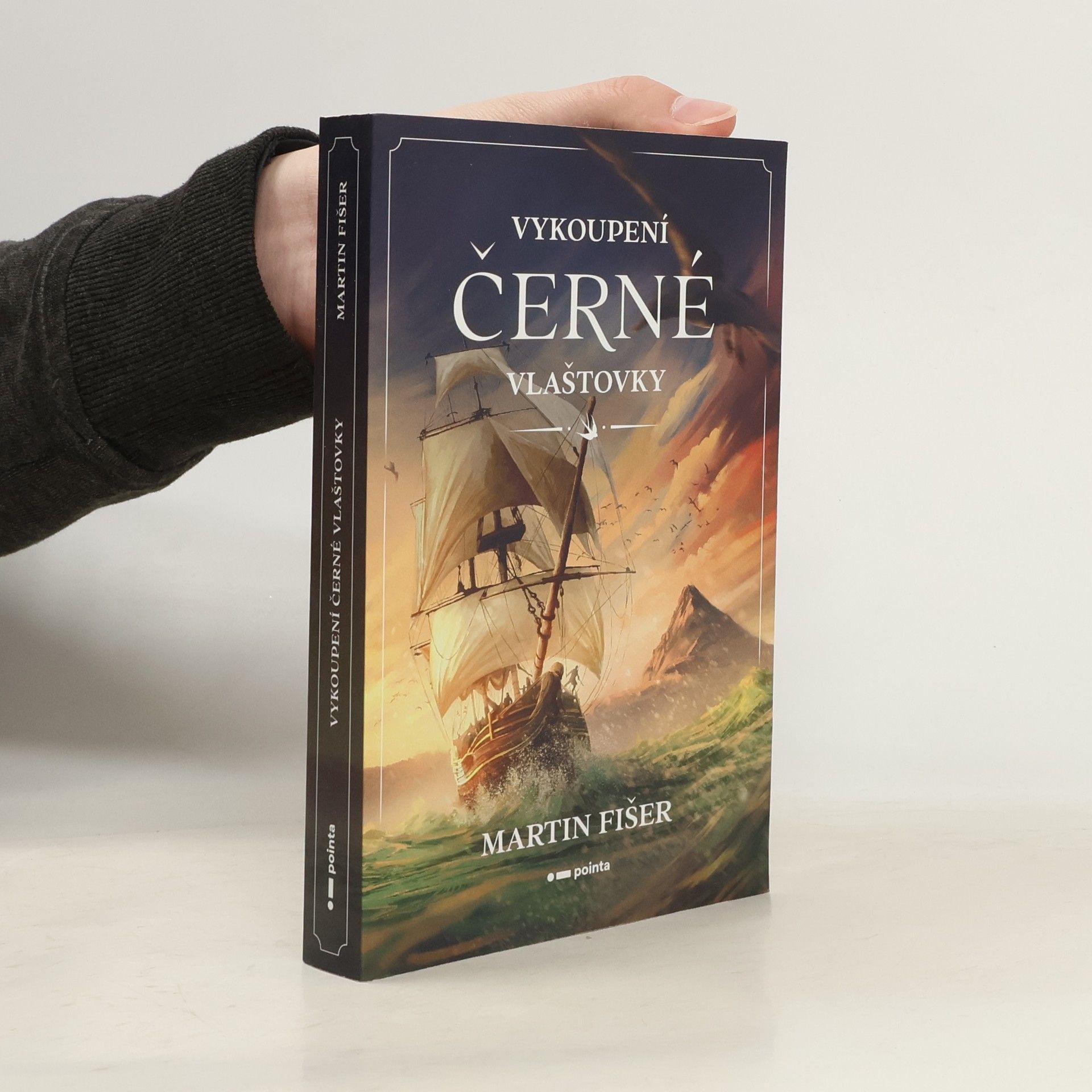 Martin Fišer Vykoupení Černé vlaštovky