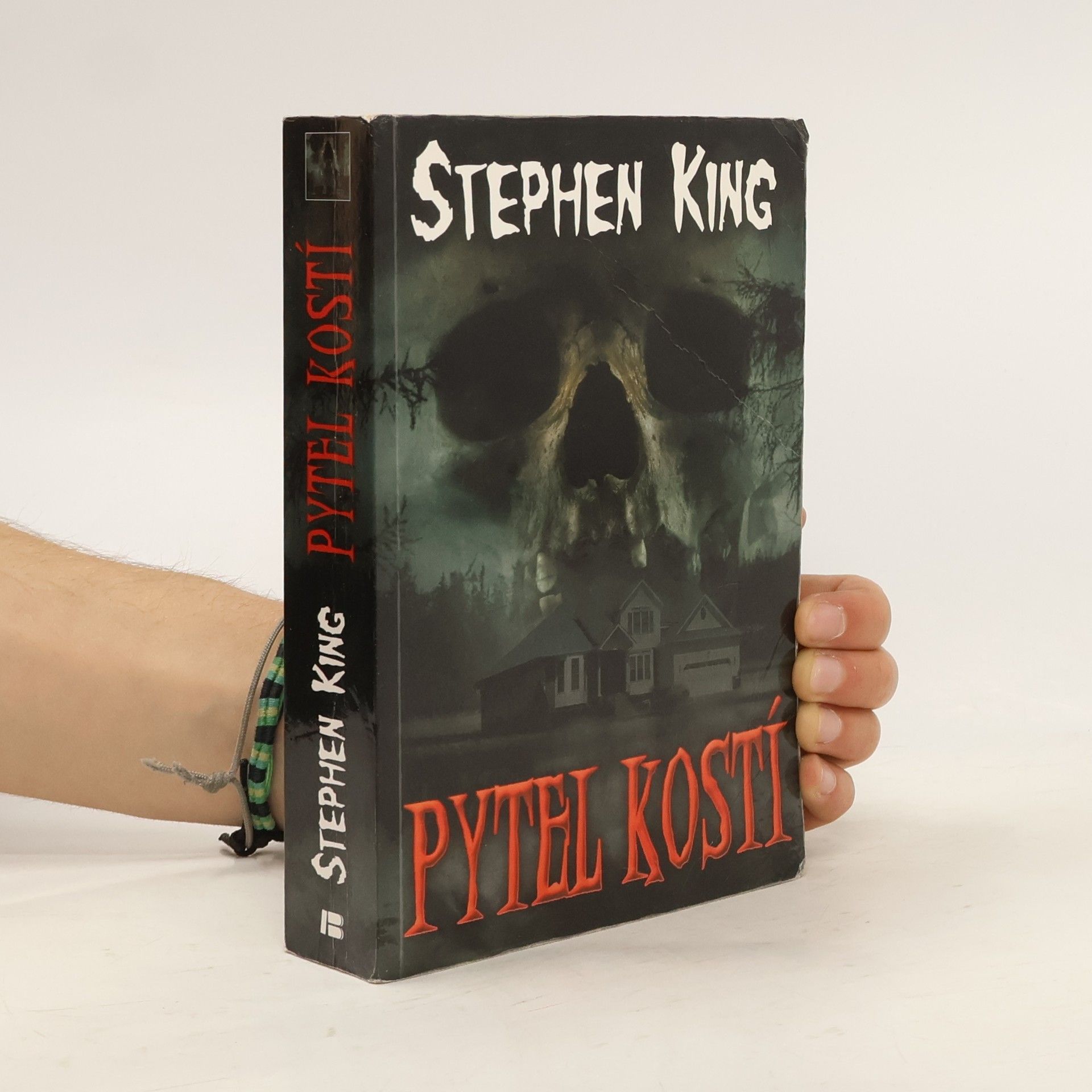 Stephen King Pytel kostí