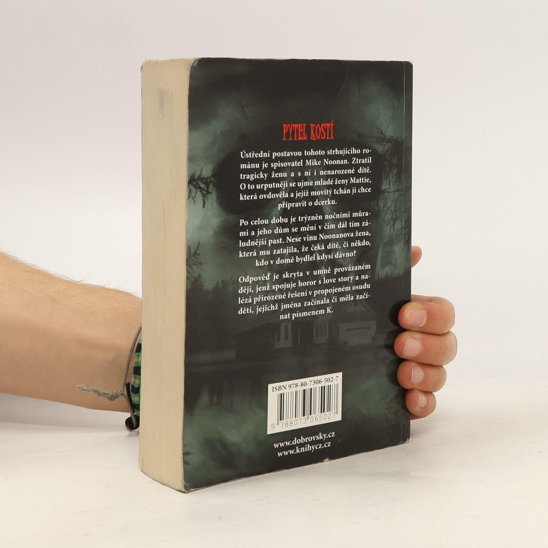 Stephen King Pytel kostí