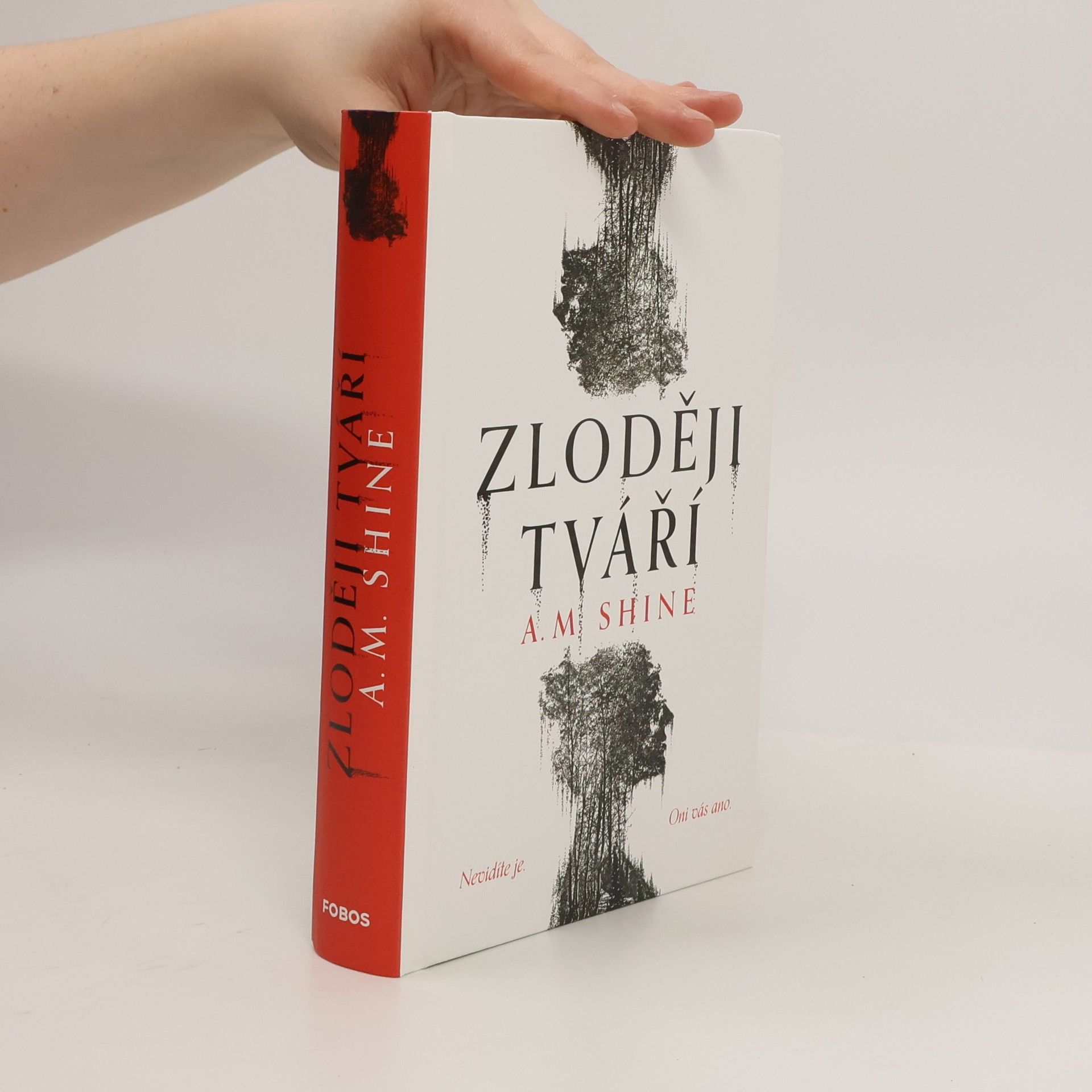 Betty Shine Zloději tváří