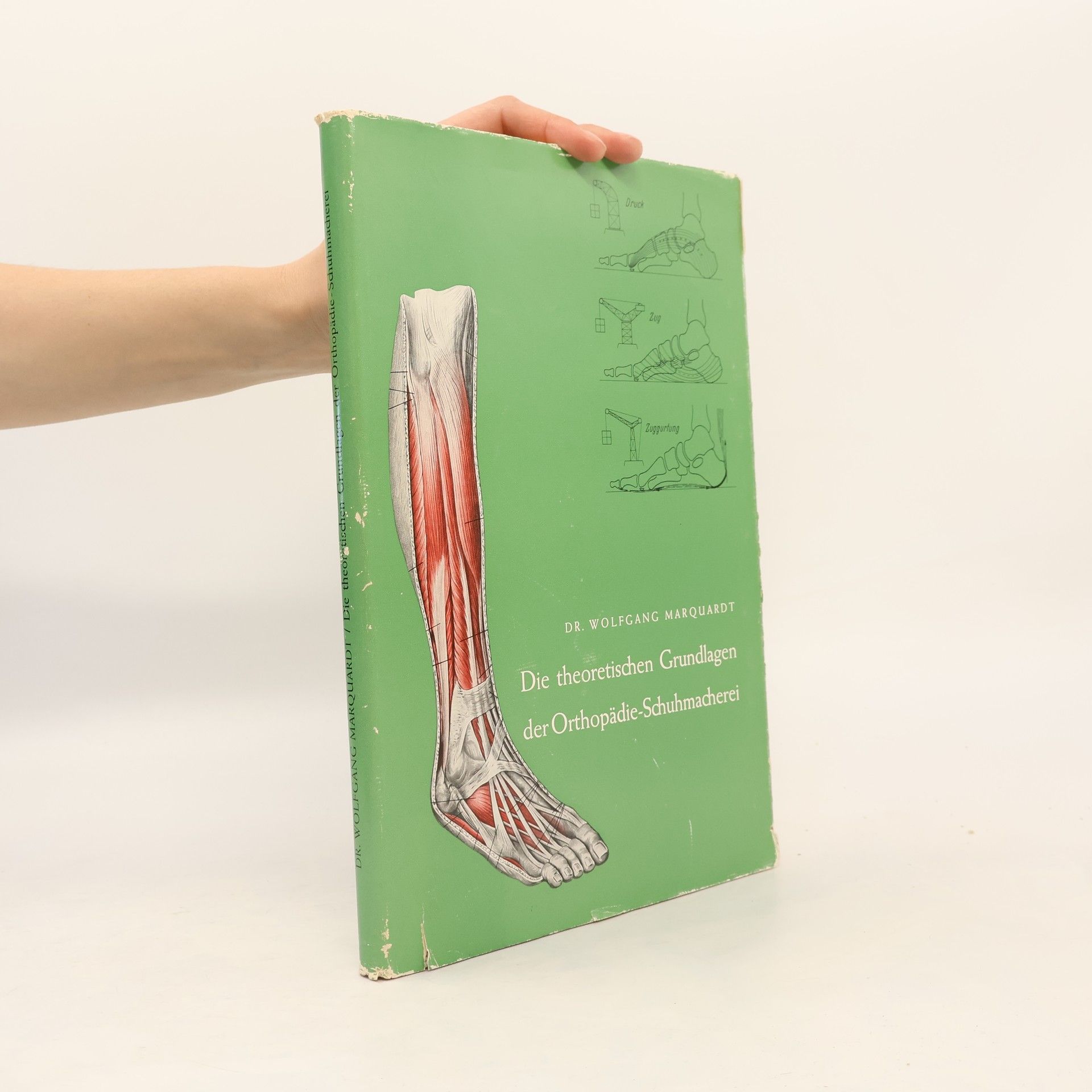 Wolfgang Marquardt Die theoretischen Grundlagen der Orthopädie-Schuhmacherei