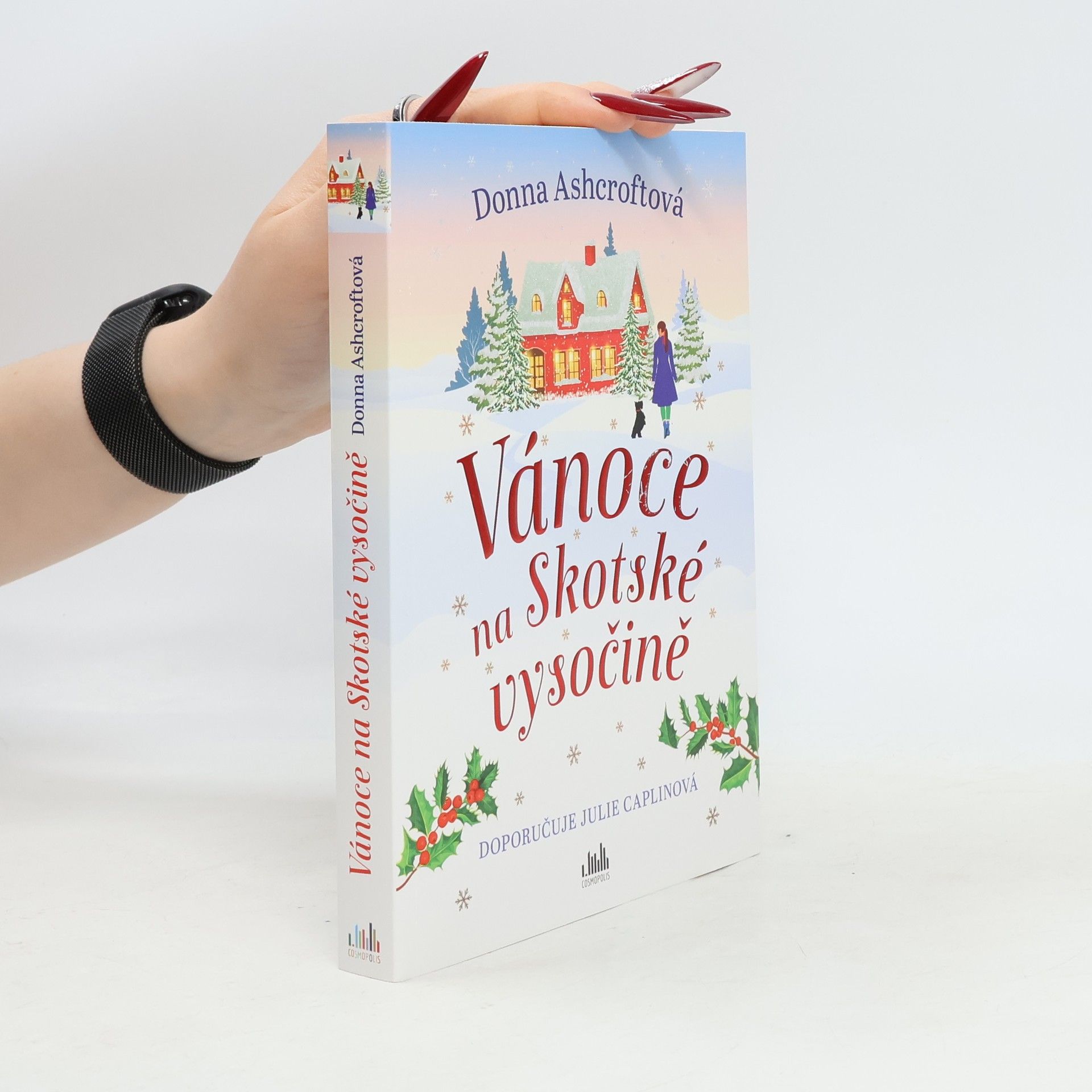 Donna Ashcroft Vánoce na Skotské vysočině