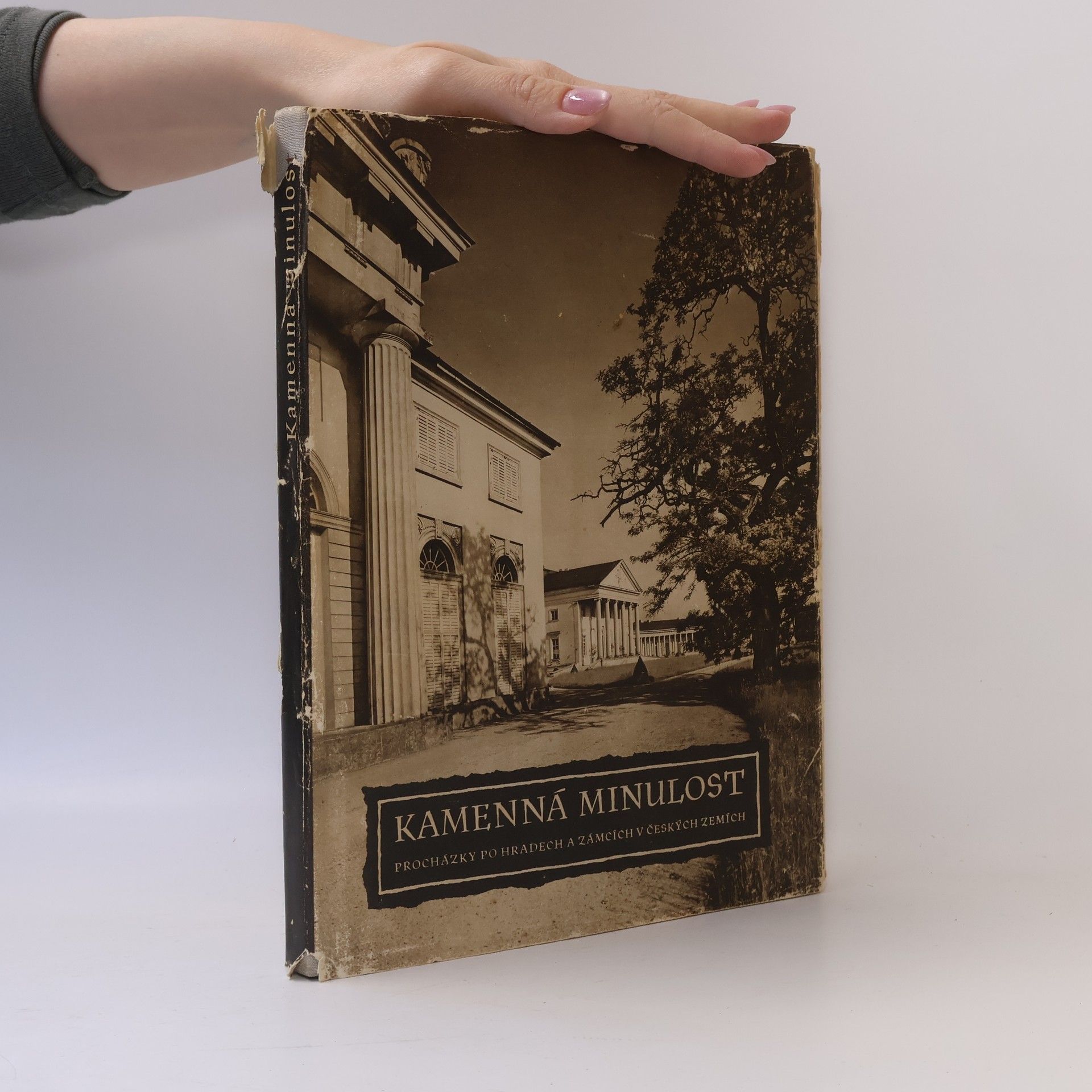 Čeněk Chyský Kamenná minulost. Procházky po hradech a zámcích v českých zemích