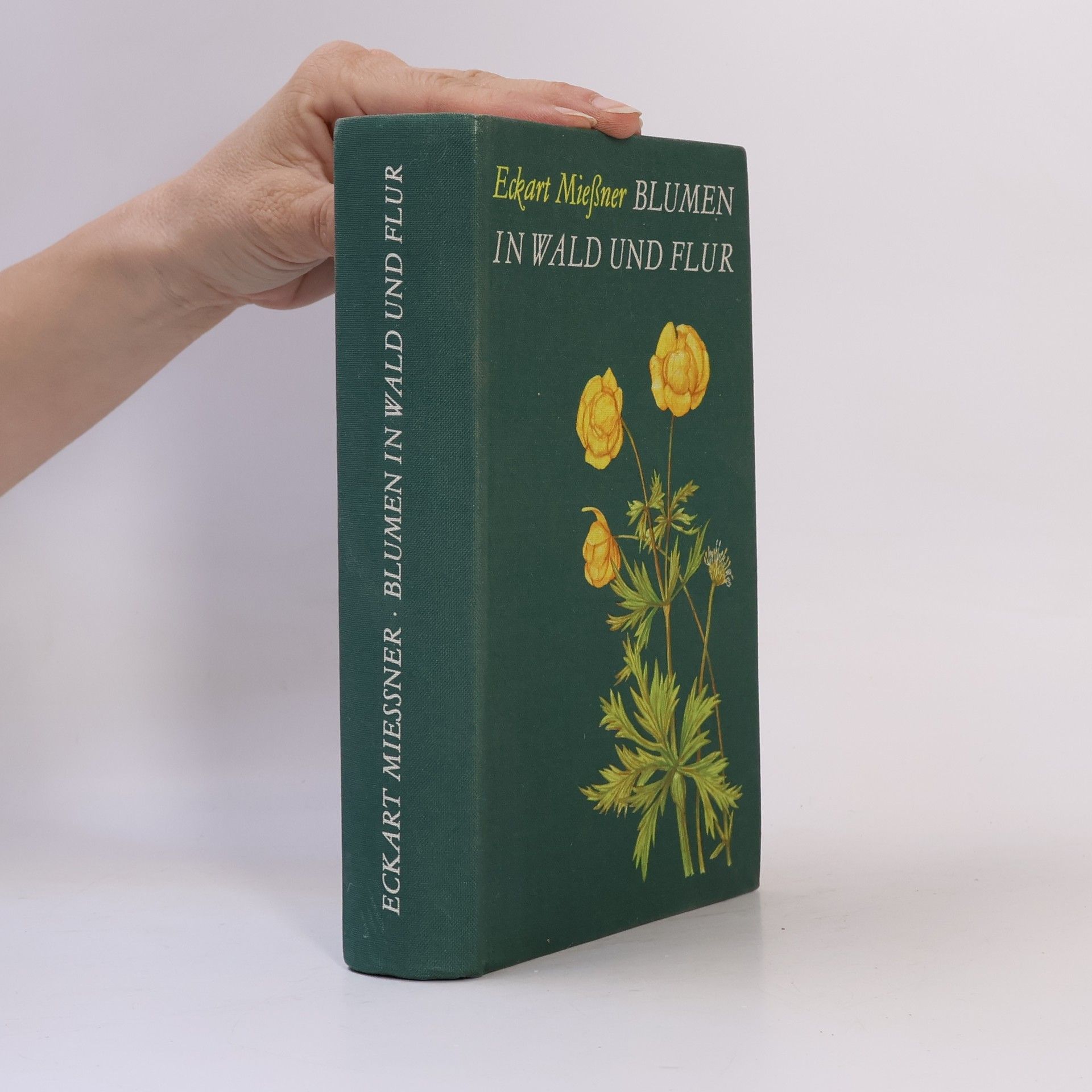 Eckart Miessner Blumen in Wald und Flur