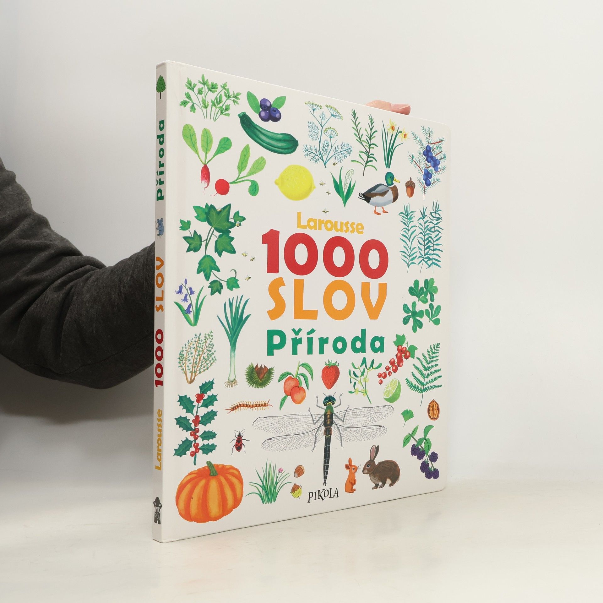 Kateřina Kyslíková 1000 slov : příroda